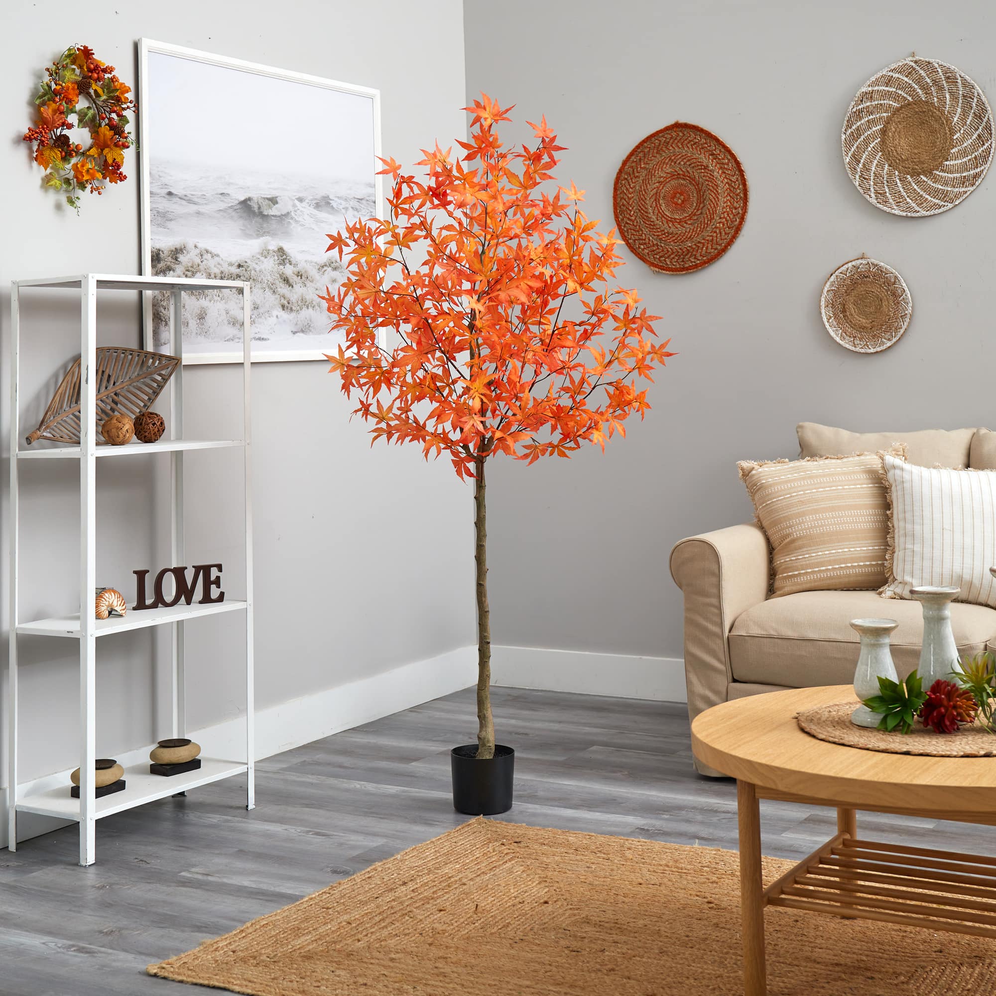 4ft. Potted Orange Autumn Maple Tree