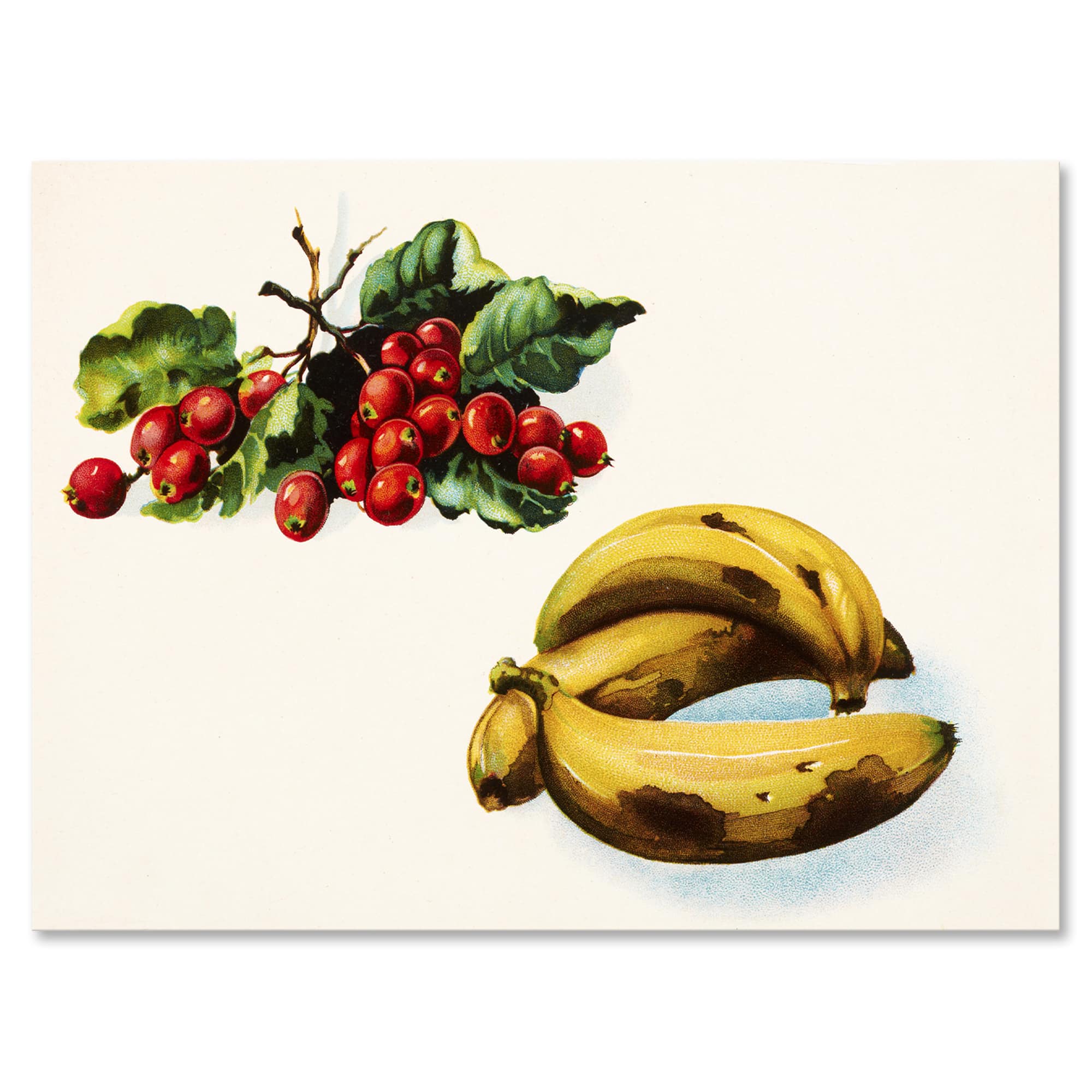 Designart - Banana and Red Berries - Farmhouse Canvas Wall Art Print