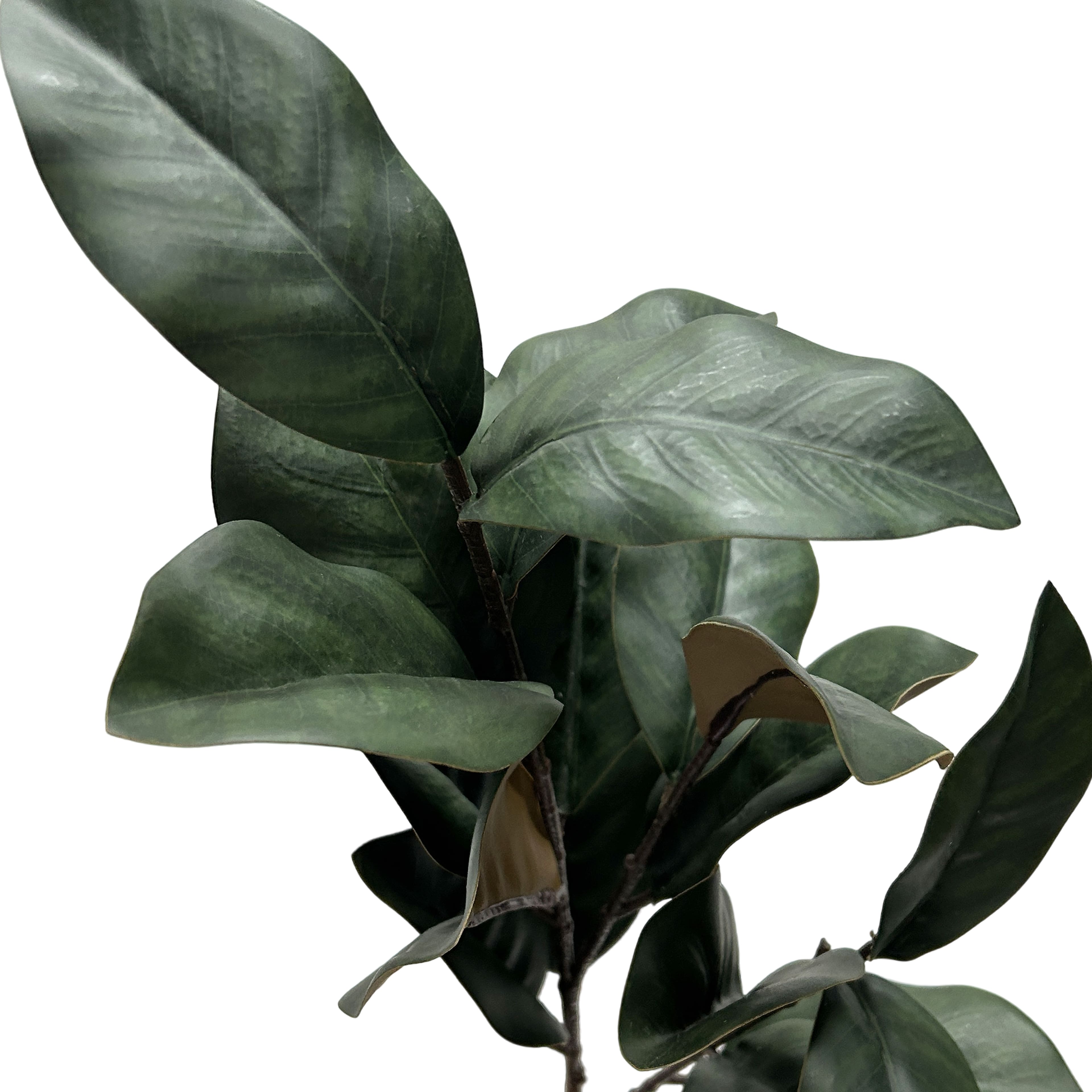 35.5" Magnolia Leaves Real Touch Stem by Ashland®
