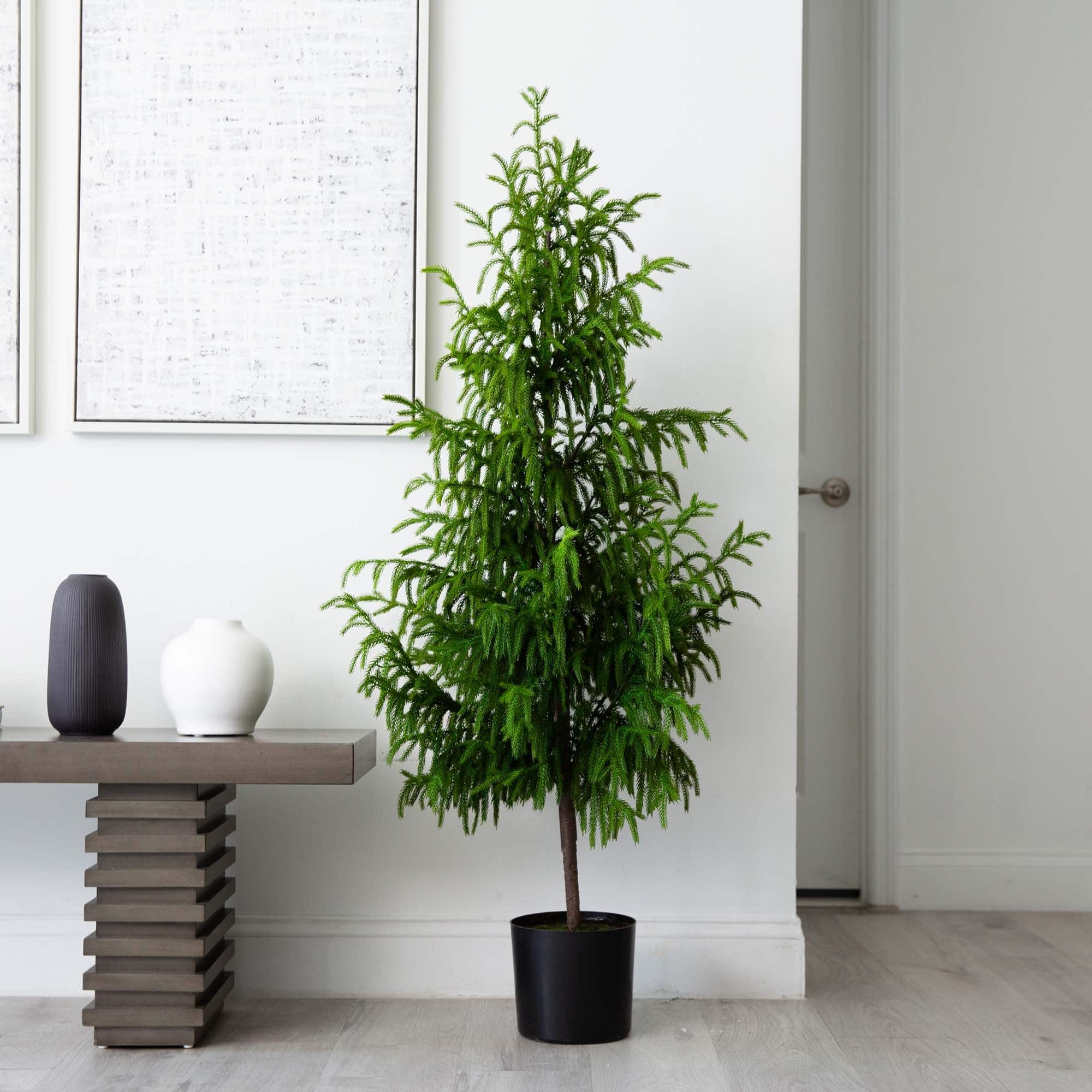 5ft. Unlit Norfolk Pine Artificial Potted Christmas Tree