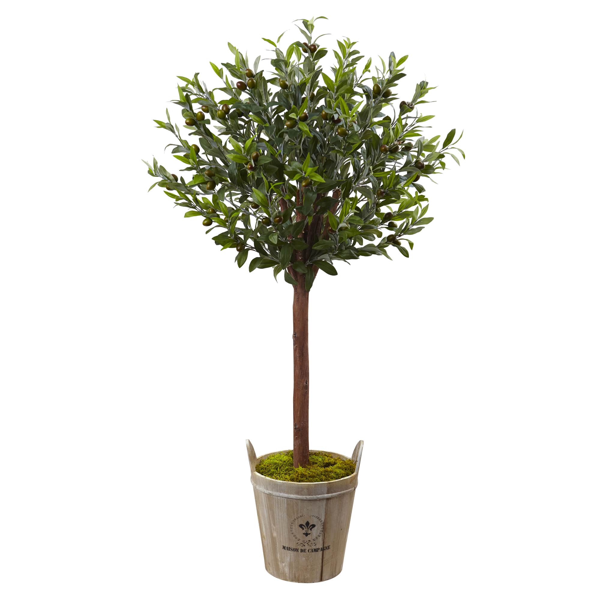 4.5ft. Olive Topiary Tree with Farmhouse Barrel Planter
