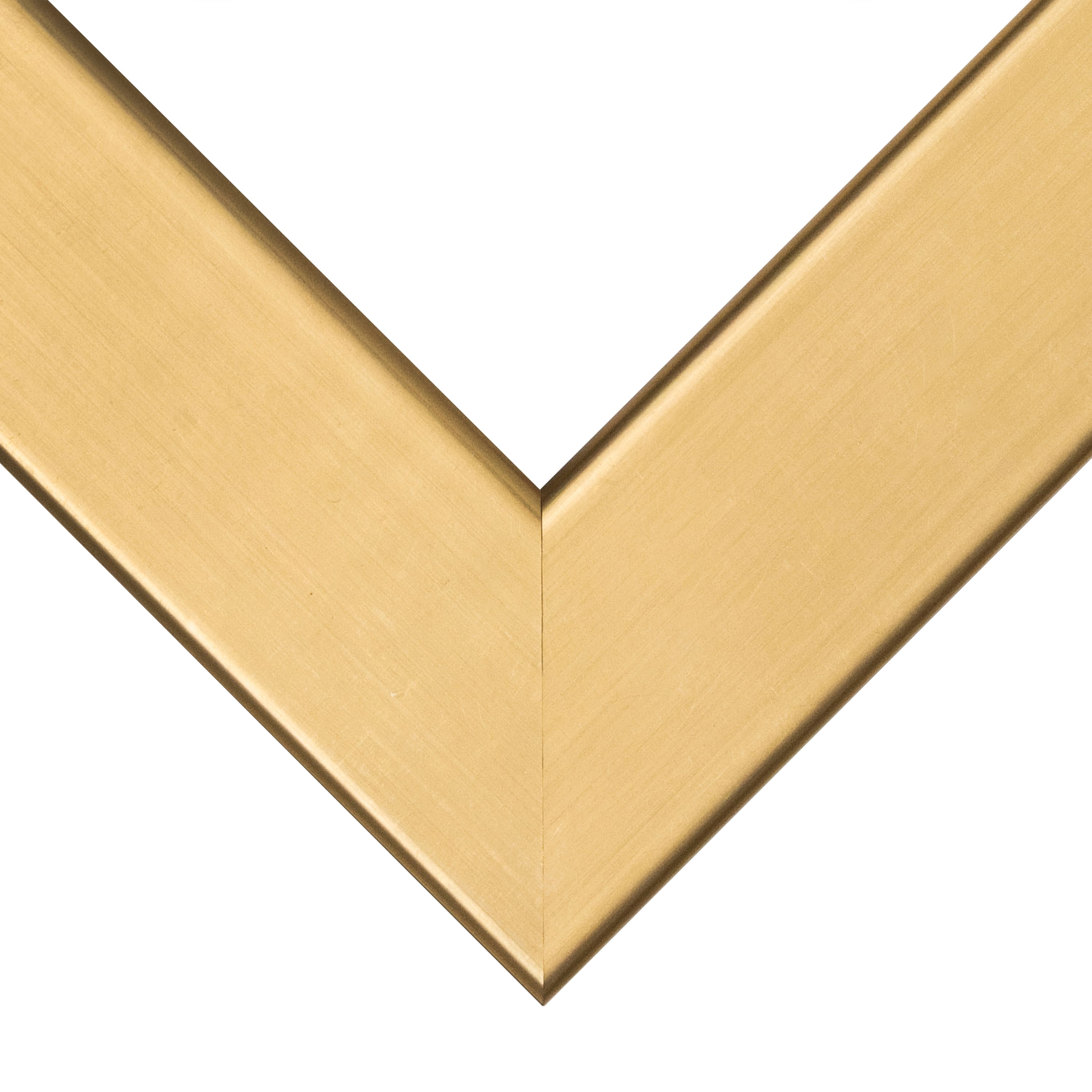 Frame USA Stainless Gold Single Image Picture Frame