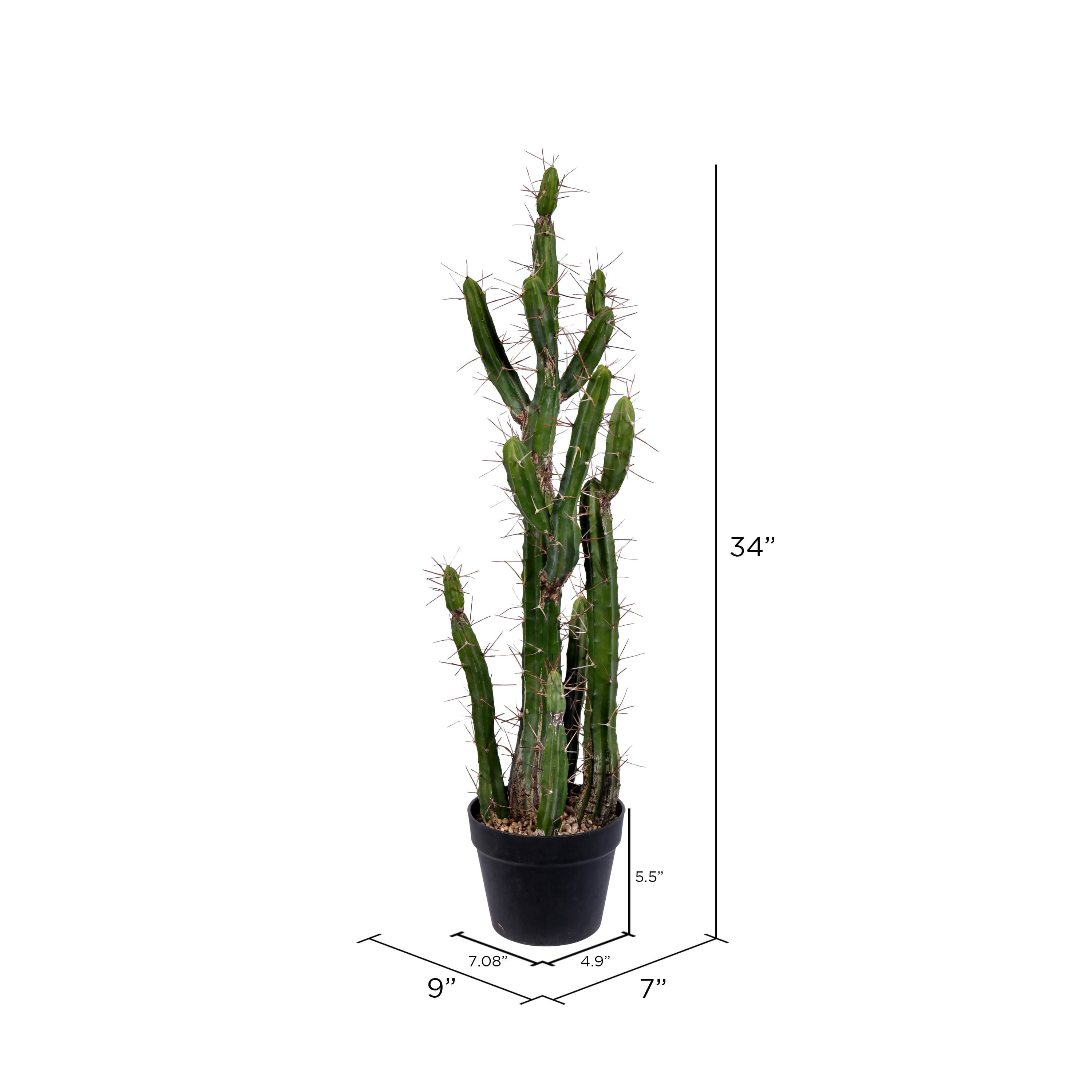 3ft. Potted Green Cactus