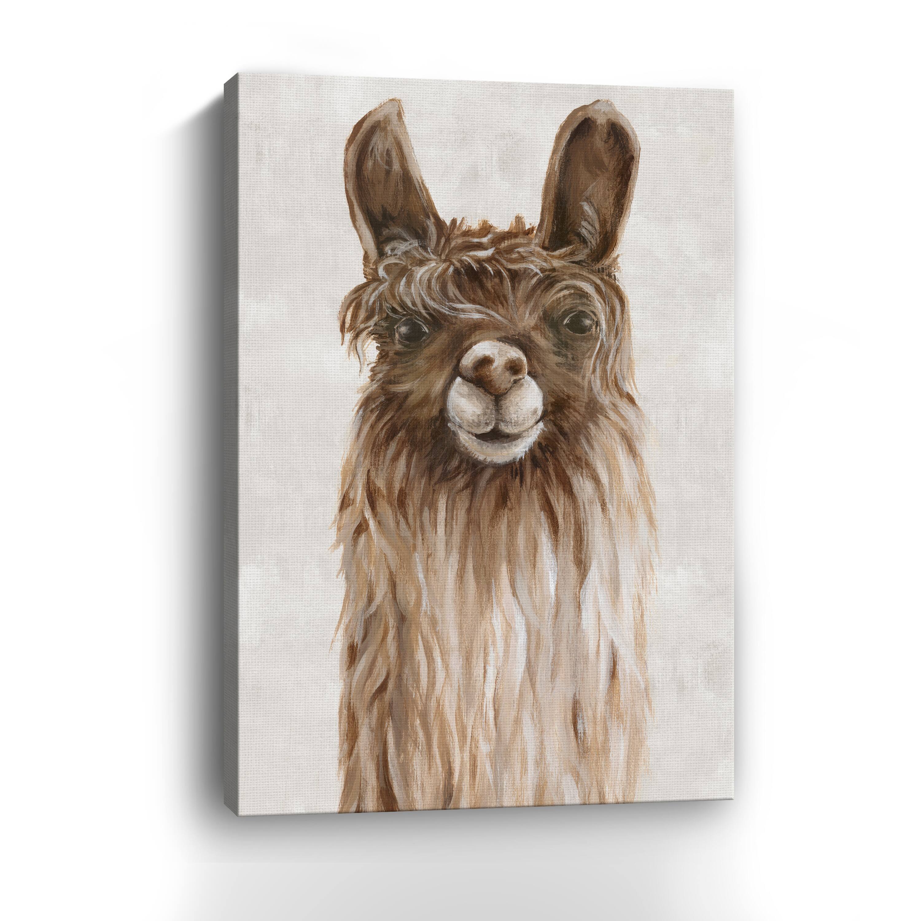Lumaprints Suri Alpaca I Canvas Giclée