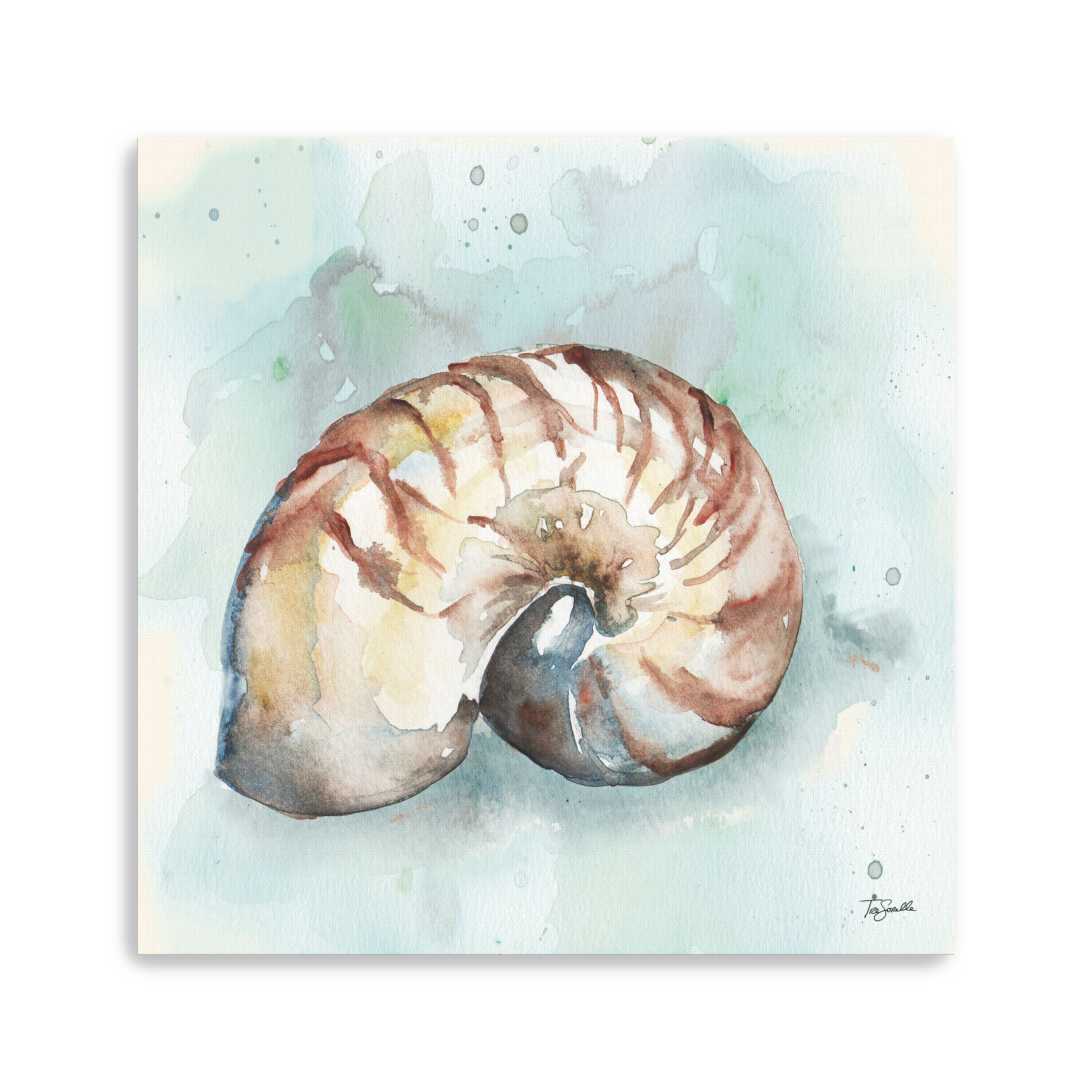 Watercolor Shells II Canvas Giclee