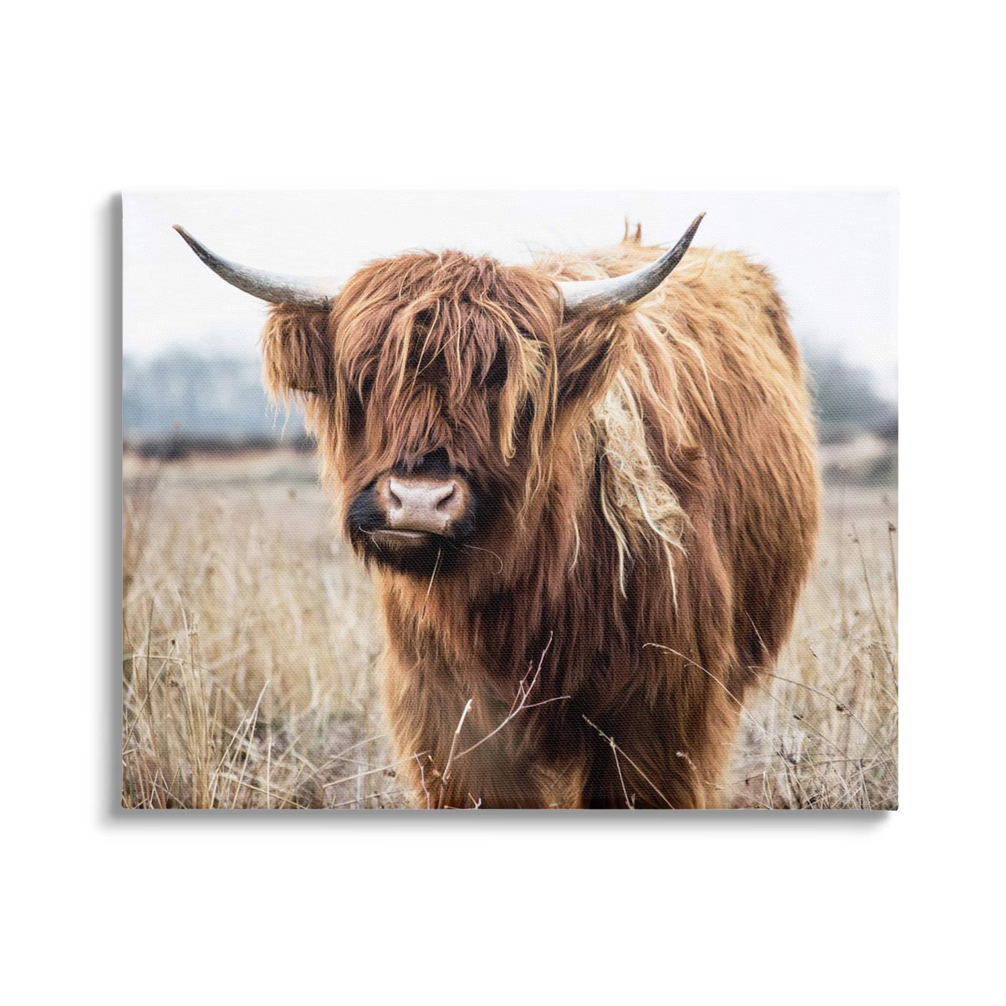 Stupell Industries Grazing Longhorn Cattle Farmland Animal Portrait Canvas Wall Art