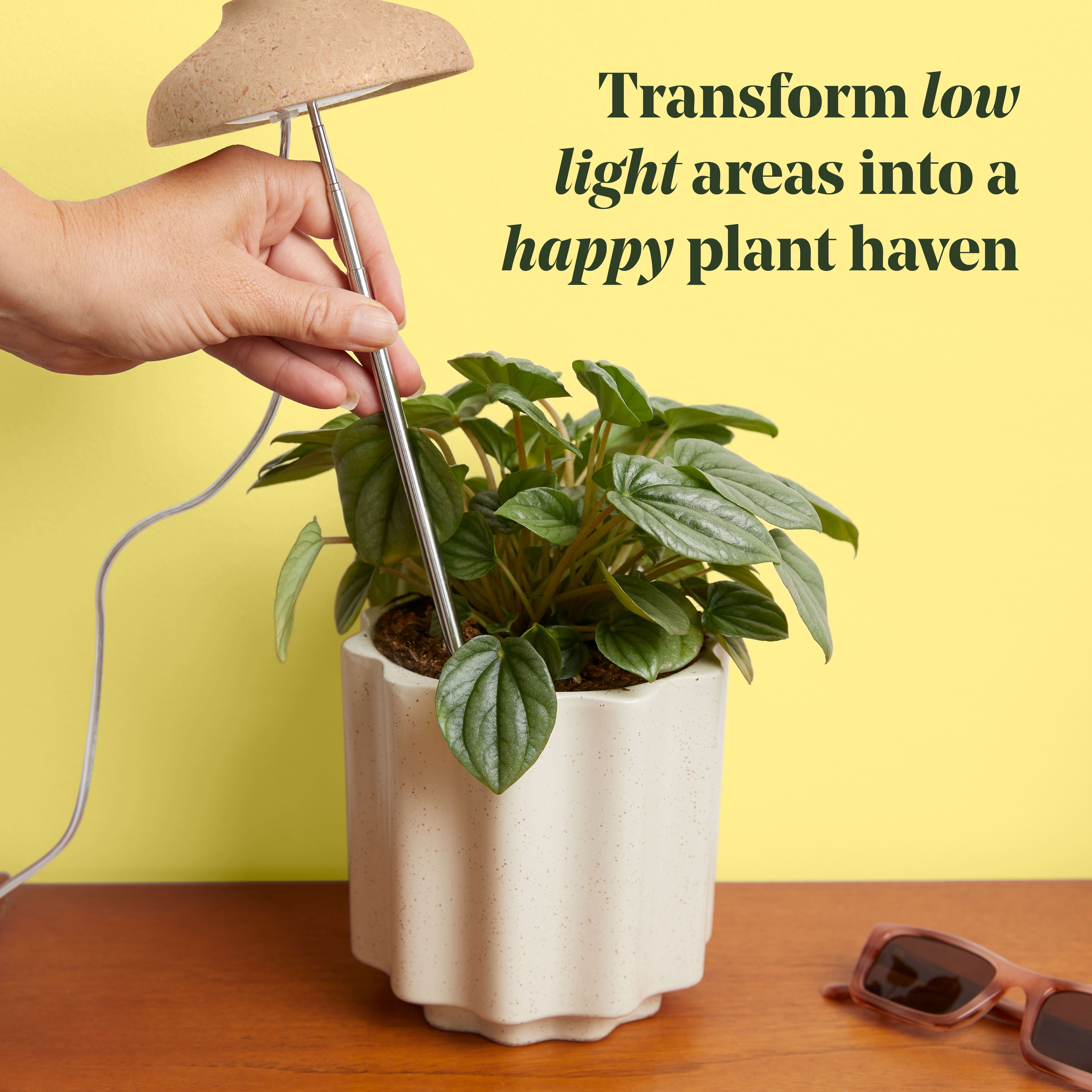 We The Wild™ Instant Sun Full Spectrum LED Grow Lamp for Houseplants