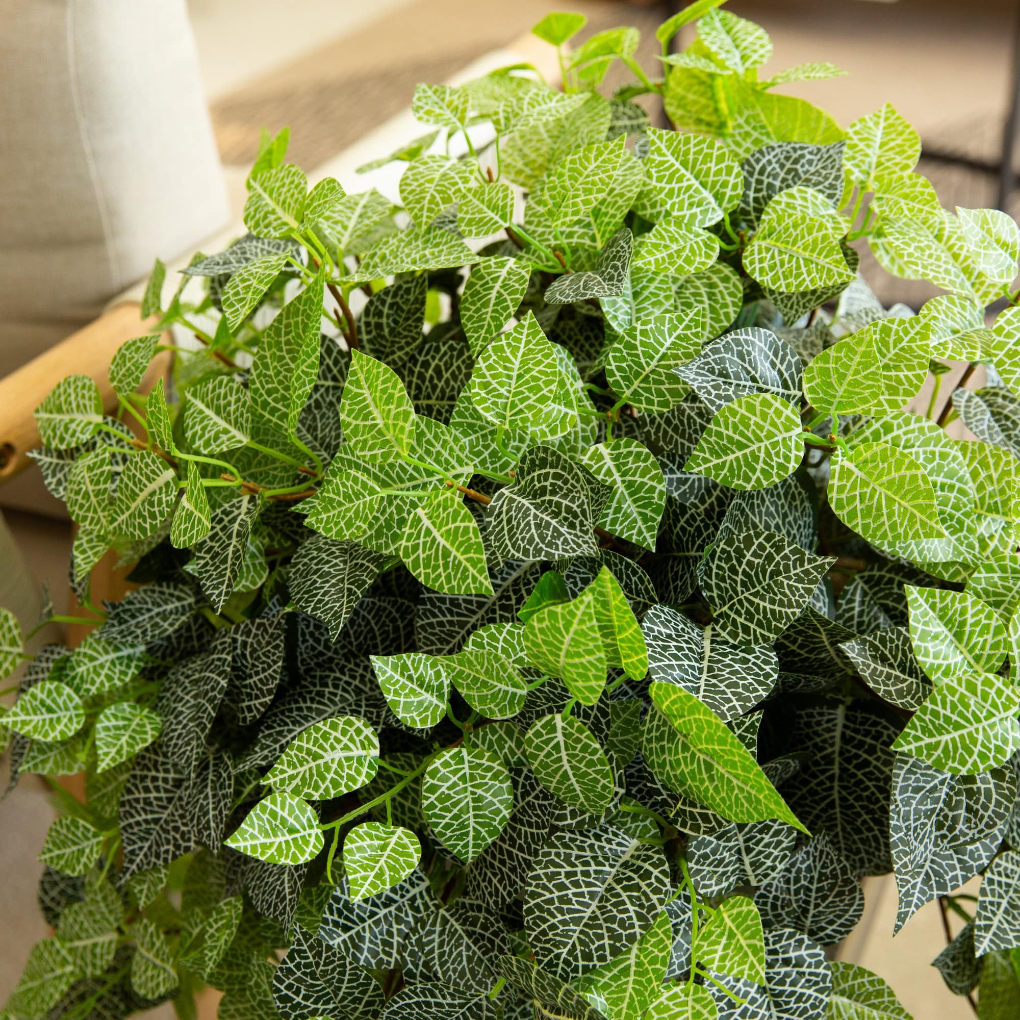 24" UV Resistant Artificial Fittonia Hanging Plant (Indoor/Outdoor) - Set of 3