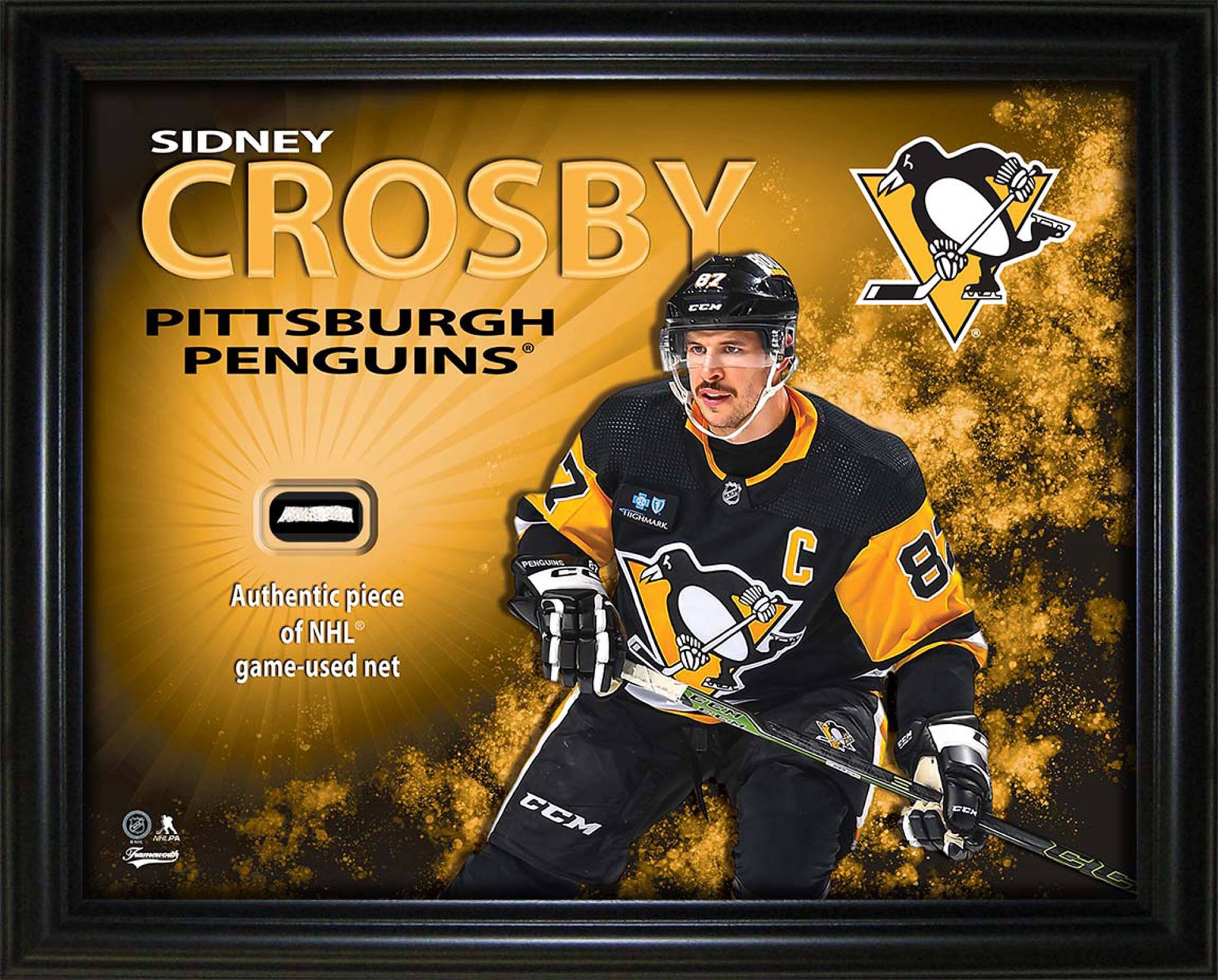 Sidney Crosby 16" x 20" Photo Frame with Game-Used Net - Pittsburgh Penguins 20" x 16"