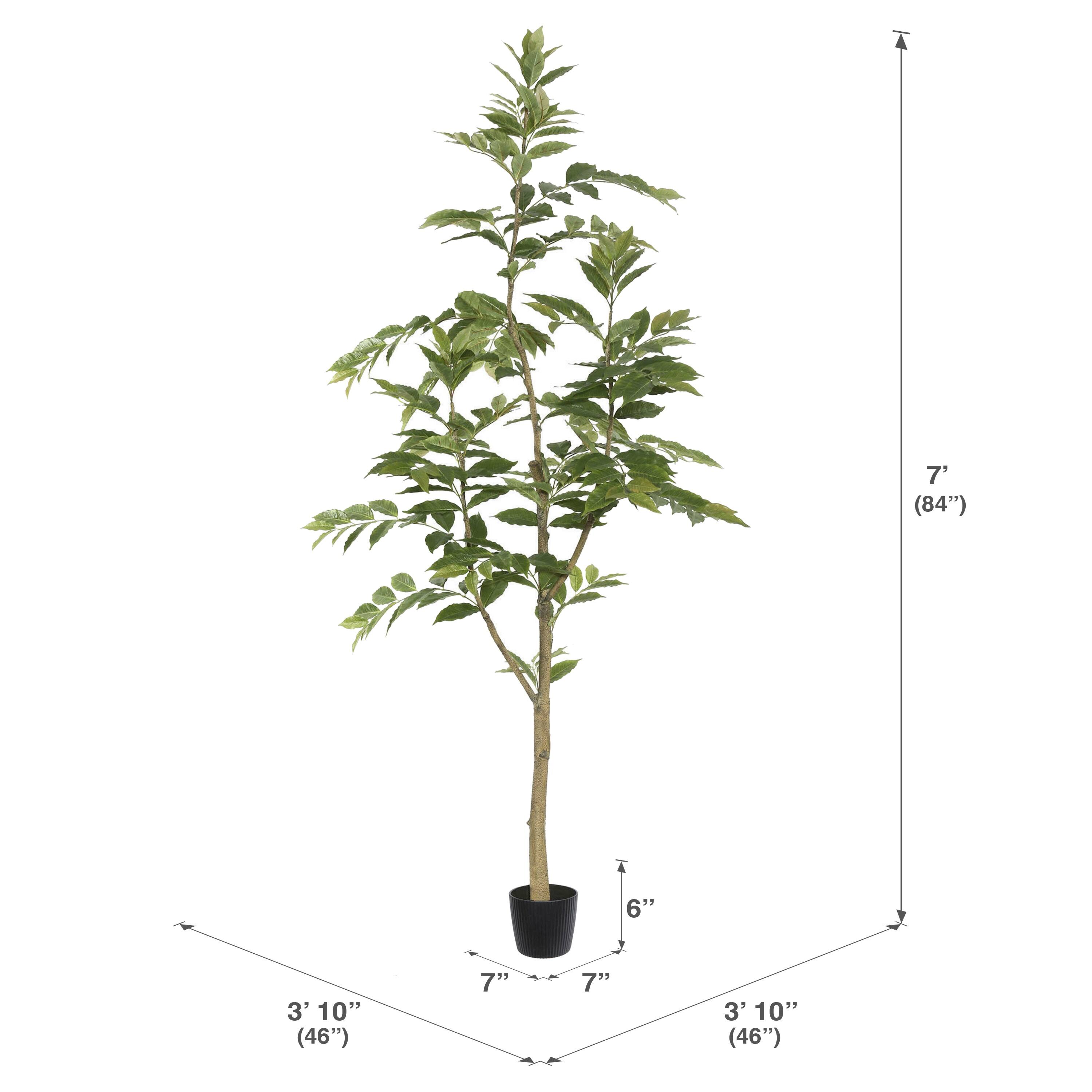 7ft. Potted Green Nandina Tree