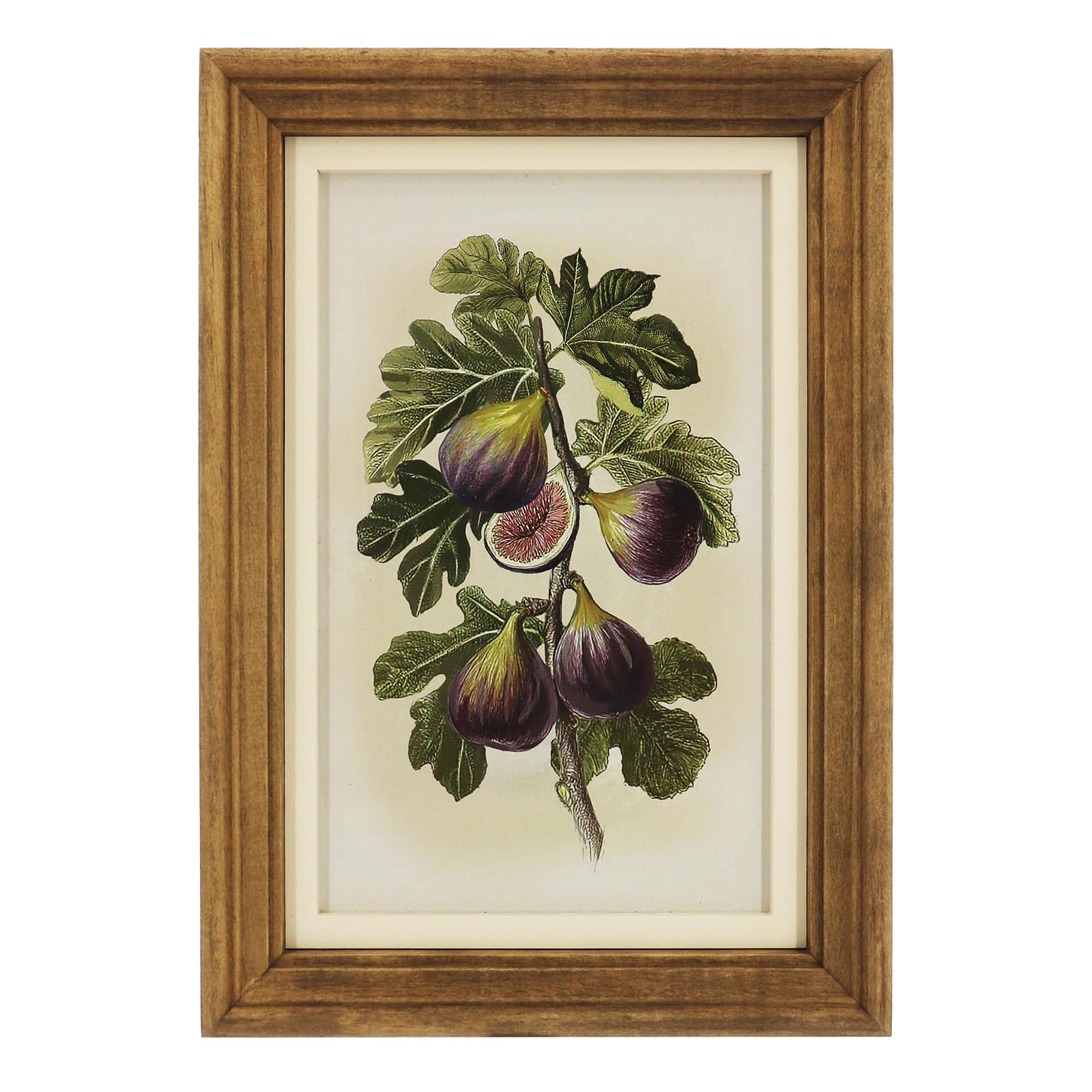 7" x 11.5" Fig Wall Art Décor by Ashland®