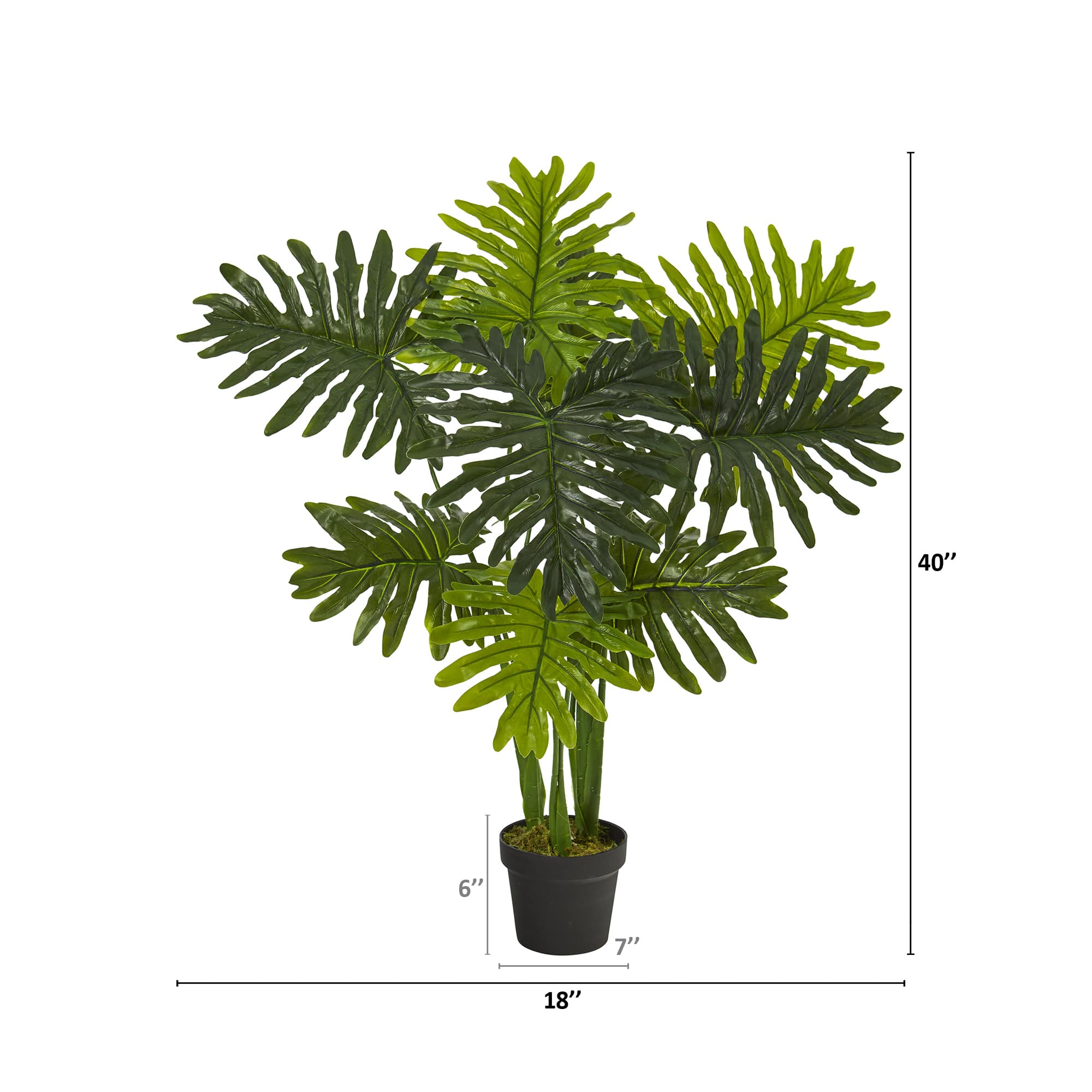 3.5ft. Potted Philodendron Plant