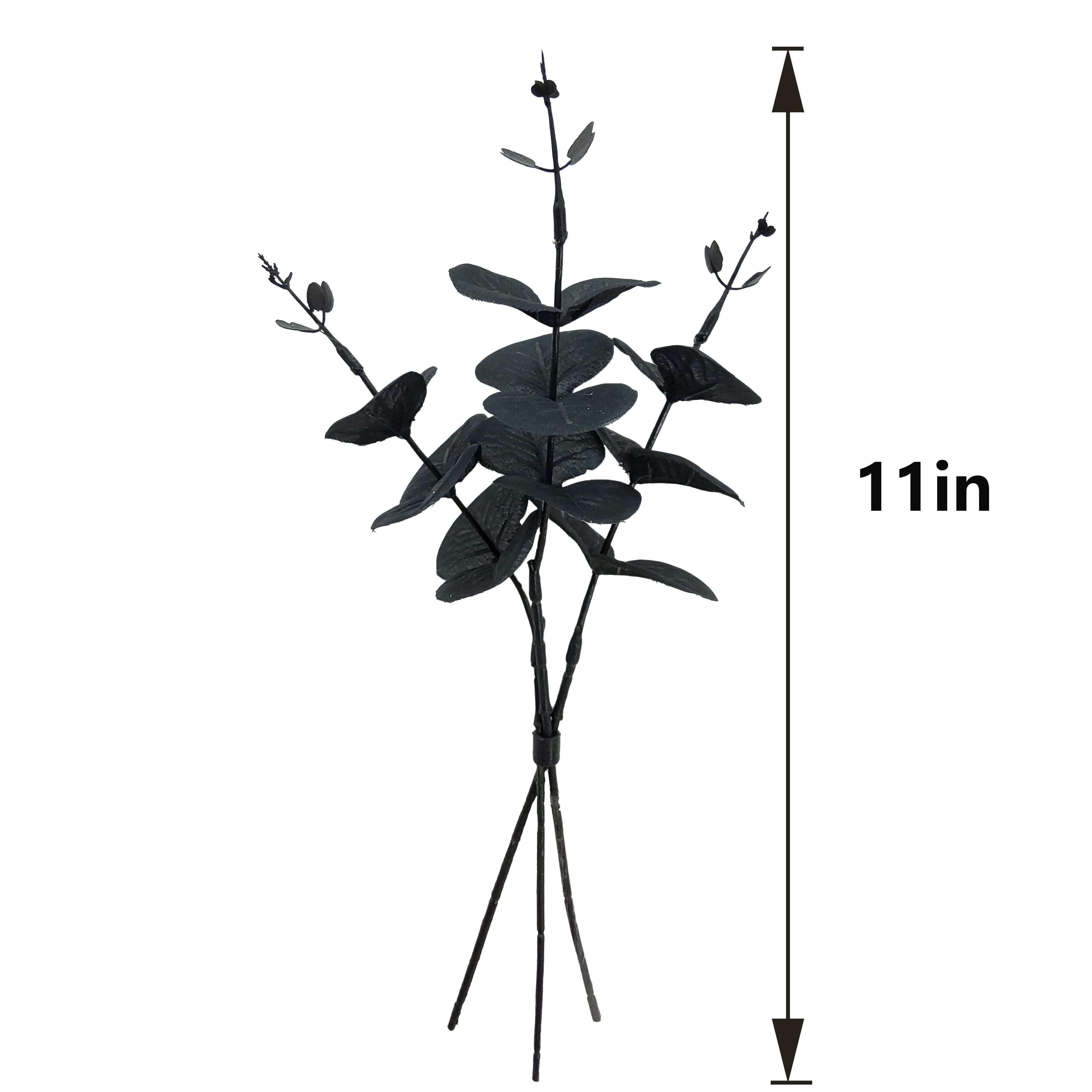 12" Eucalyptus Mini Bundle by Ashland