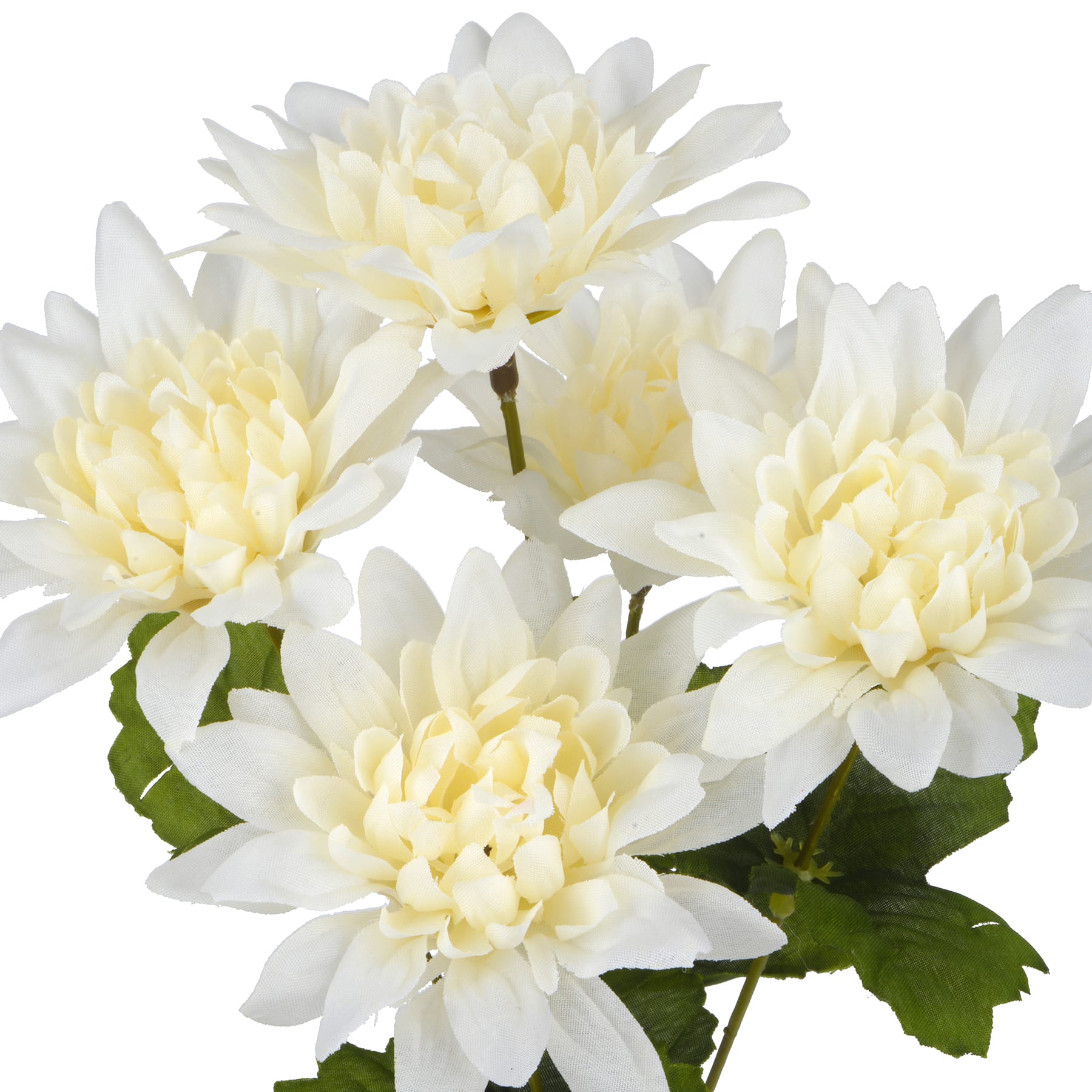12" Dahlia Bush by Ashland