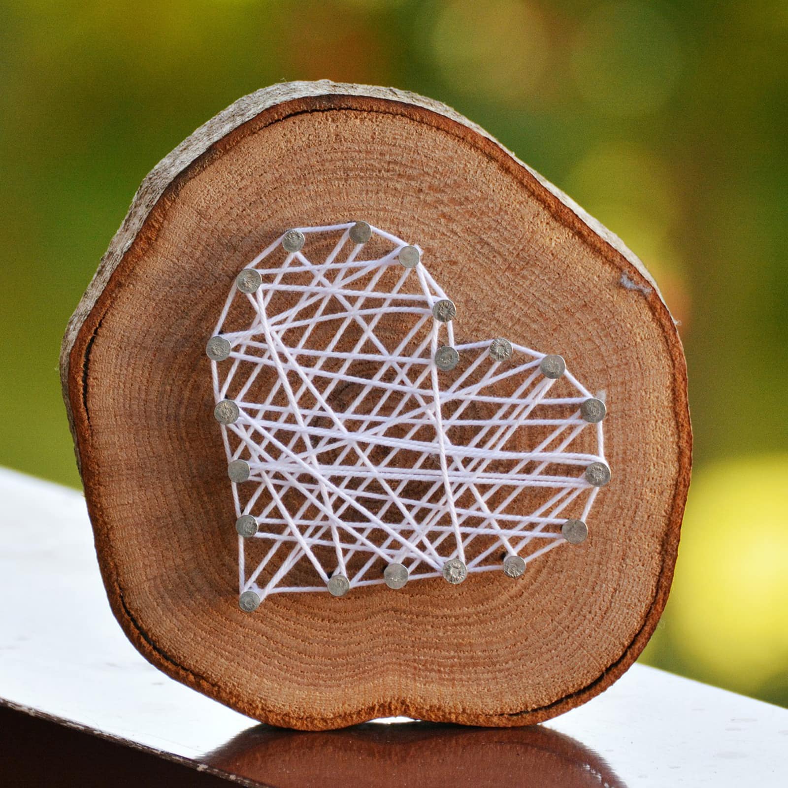 Wilson® Enterprises 9" Thick Birch Rounds, 4ct.
