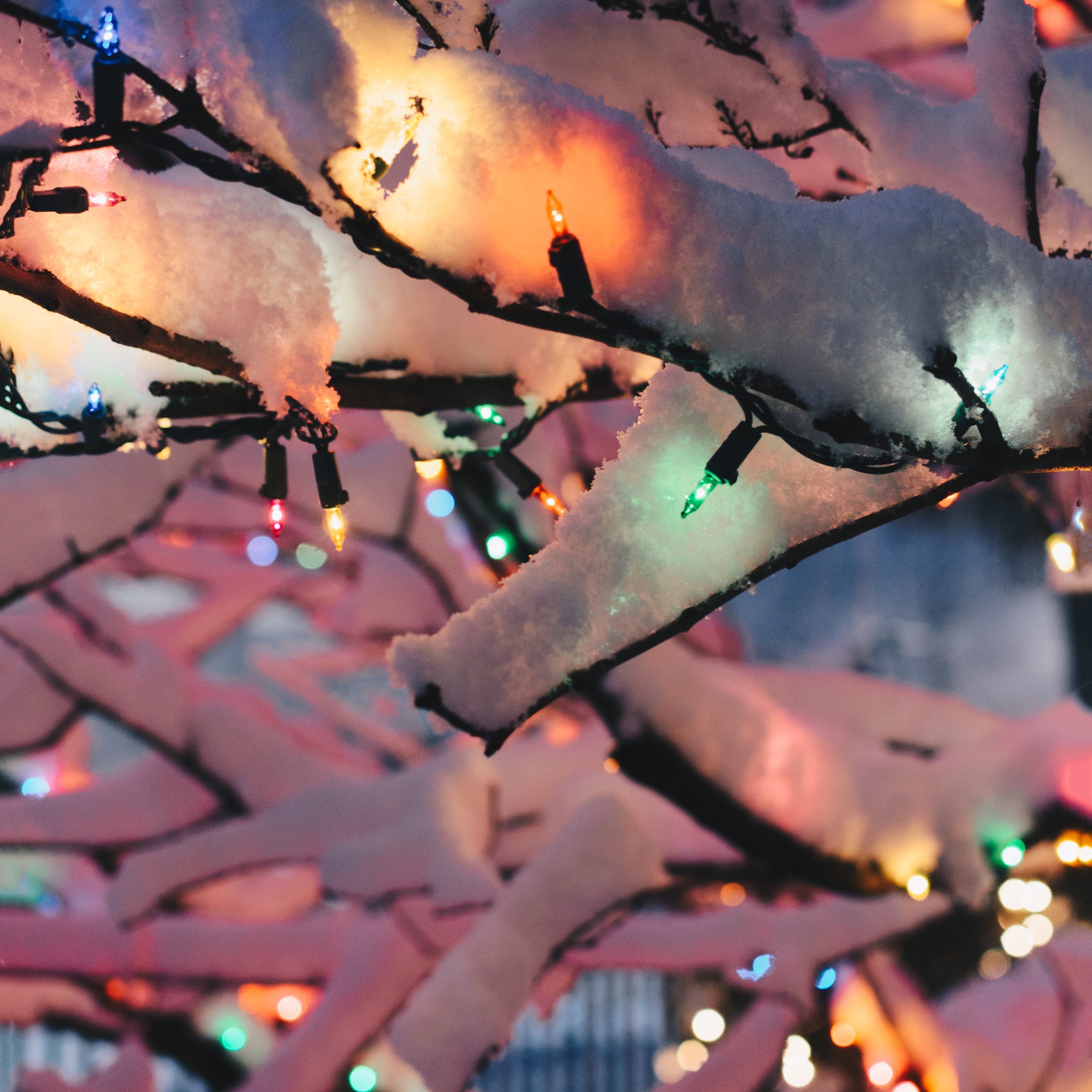 300ct. Multicolor Mini Christmas String Lights with Green Wire