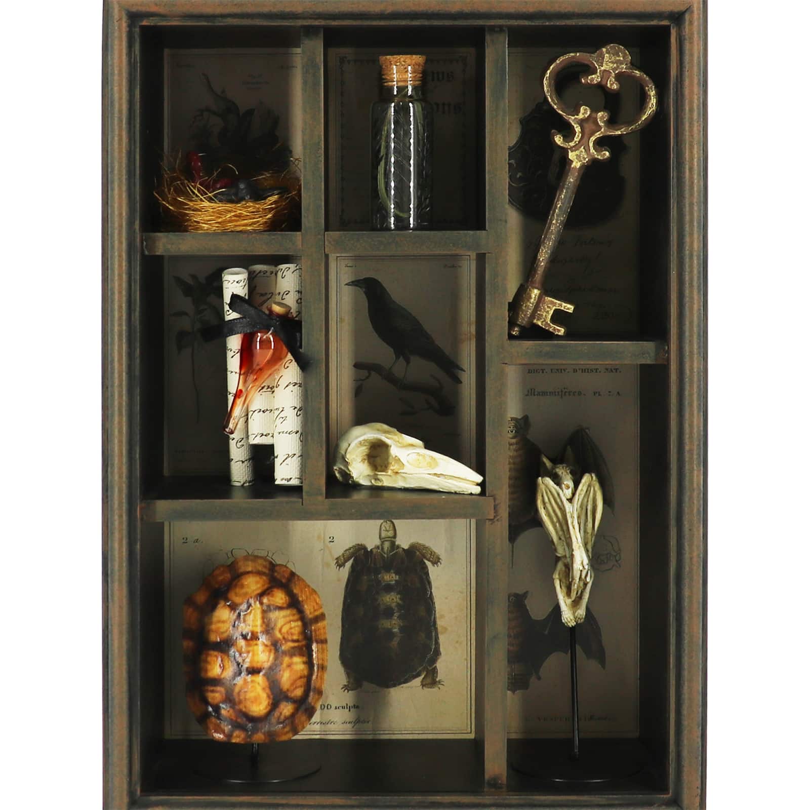 17.75" Bat Skull Curiosities Cabinet Tabletop Décor by Ashland®