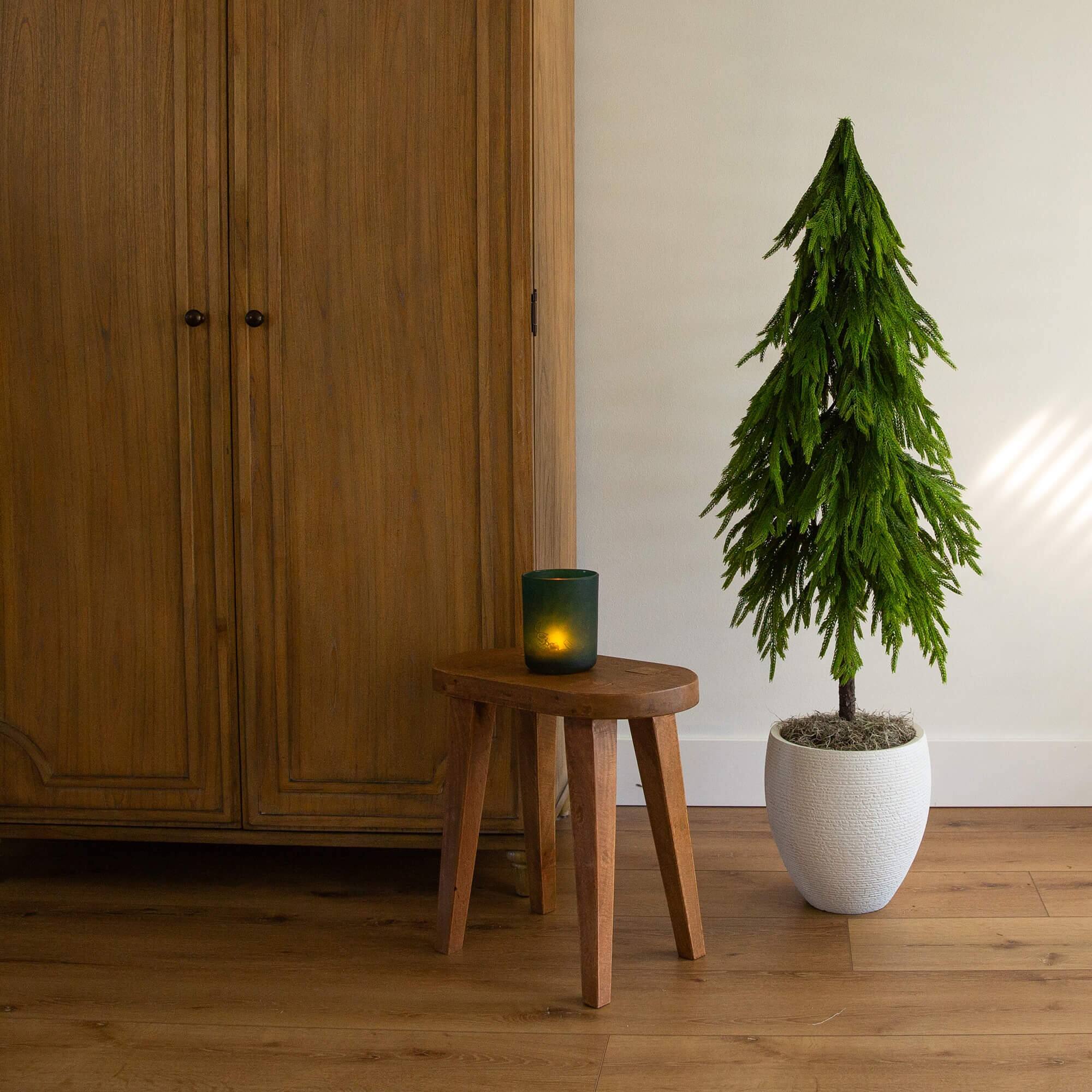 4ft. Unlit Down Swept Real Touch Norfolk Pine Artificial Christmas Tree in Nursery Pot