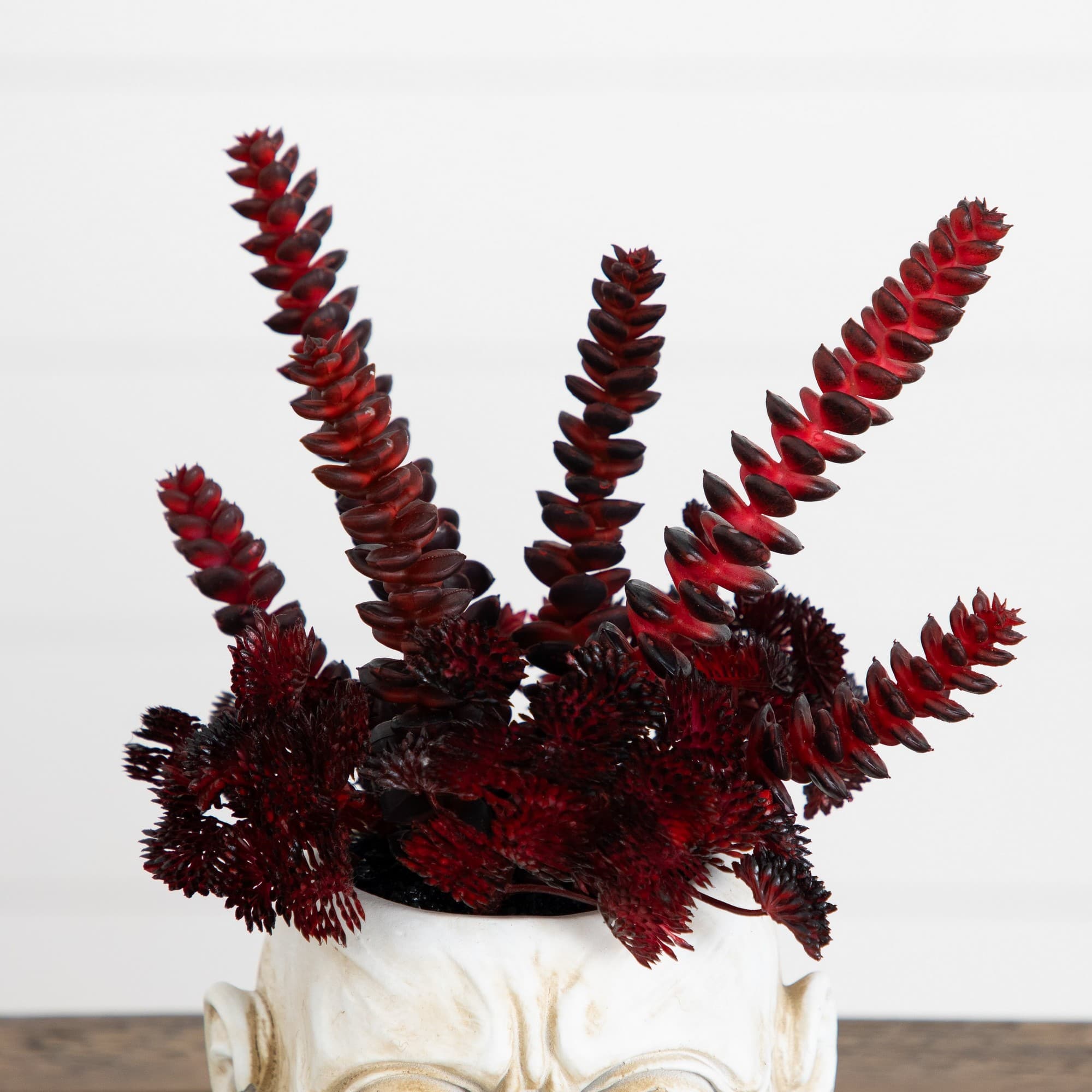 10" Artificial Halloween Succulent Plant in Zombie Halloween Planter