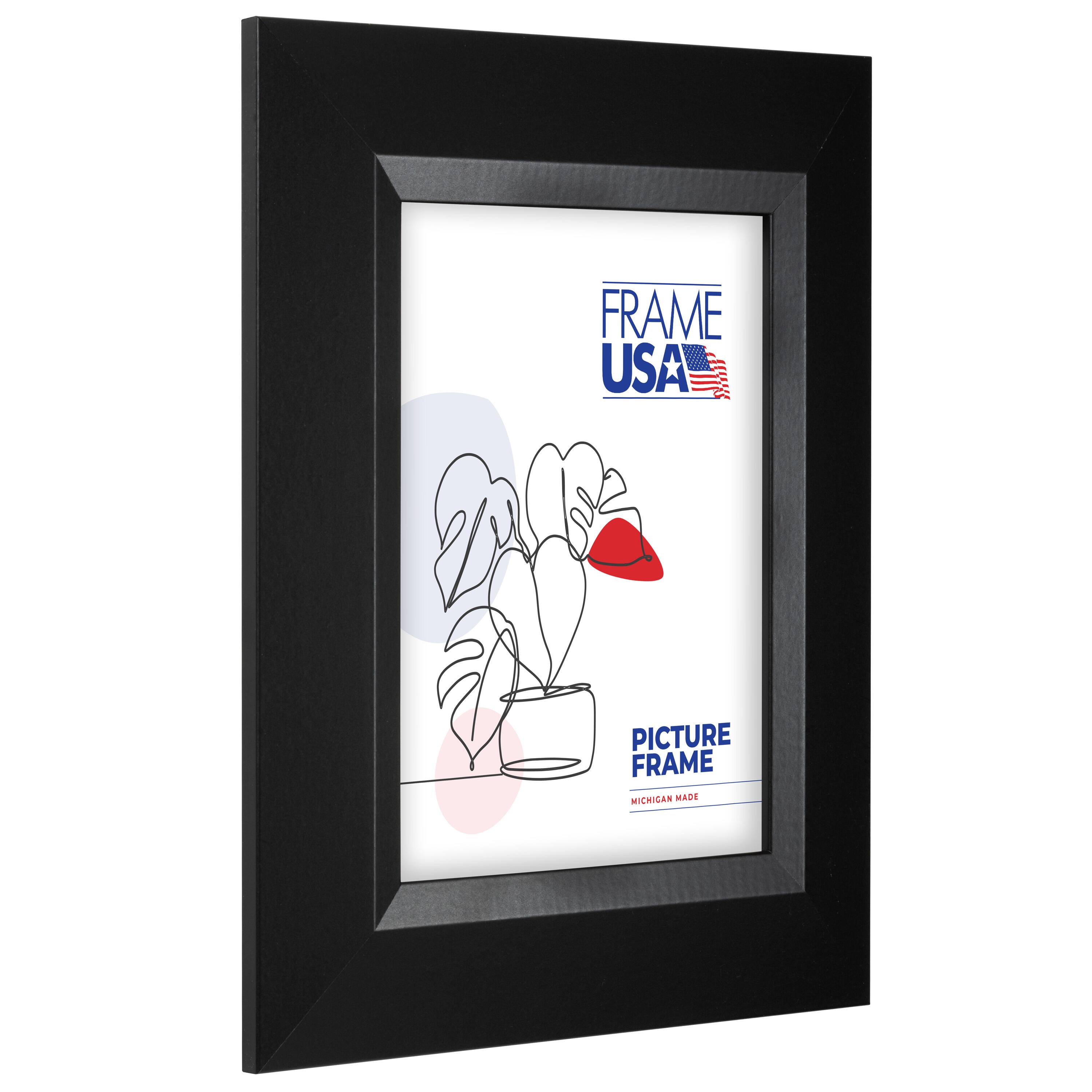 Frame USA Black Series Large Black Single Image Picture Frame with Mat