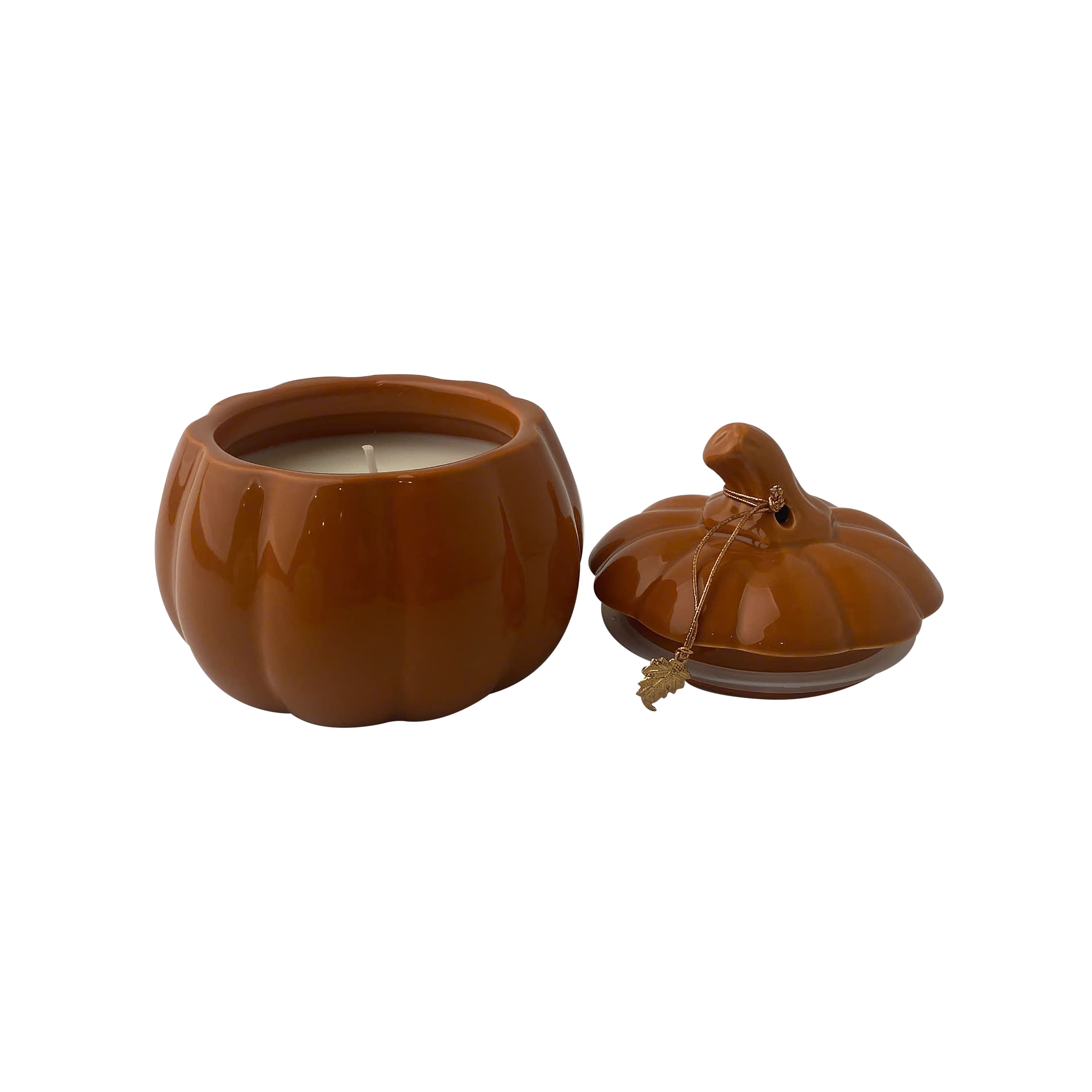 11oz. Pumpkin Hazelnut Scented Ceramic Pumpkin Candle by Ashland®