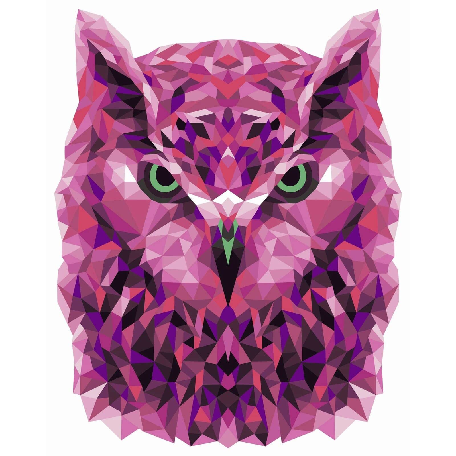 Crafting Spark Celebration Poly Owl Painting by Numbers Kit