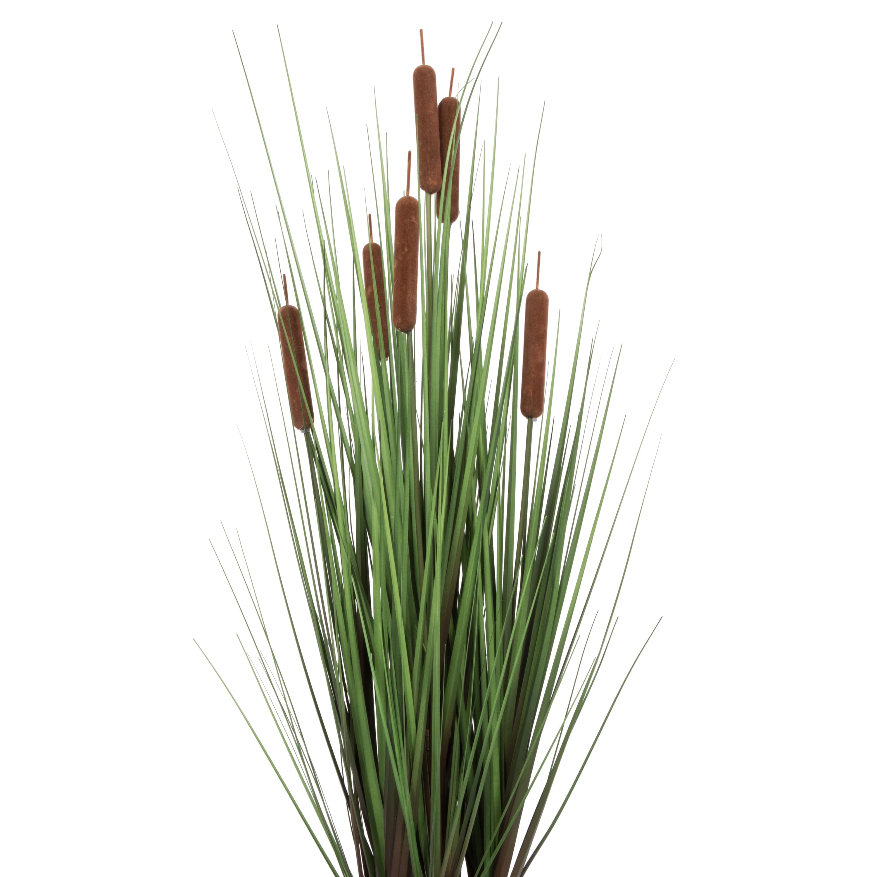 Potted Green Straight Grass & Cattails