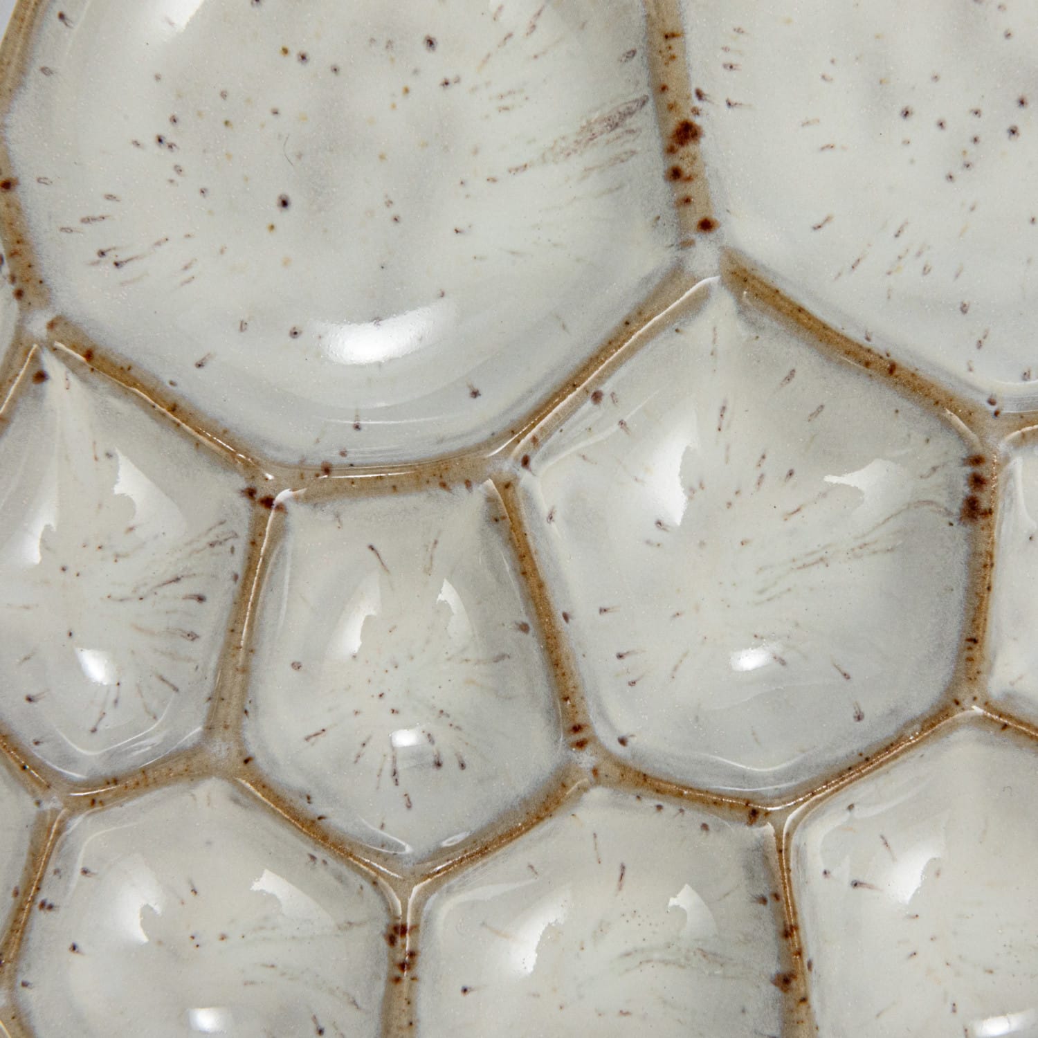 Hello Honey® White Speckled 13-Section Stoneware Dish