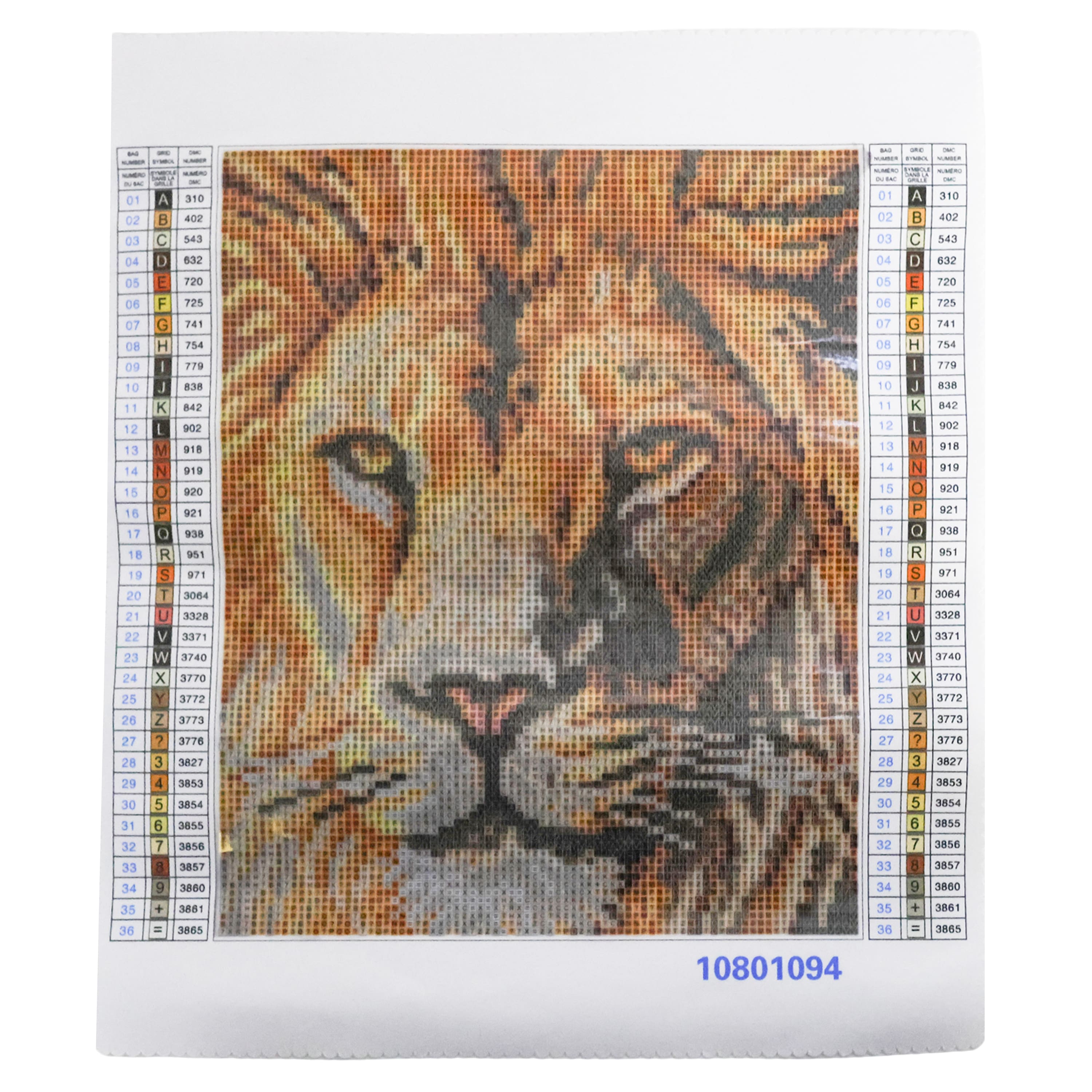 8" x 10" Lion Diamond Art Kit by Make Market®