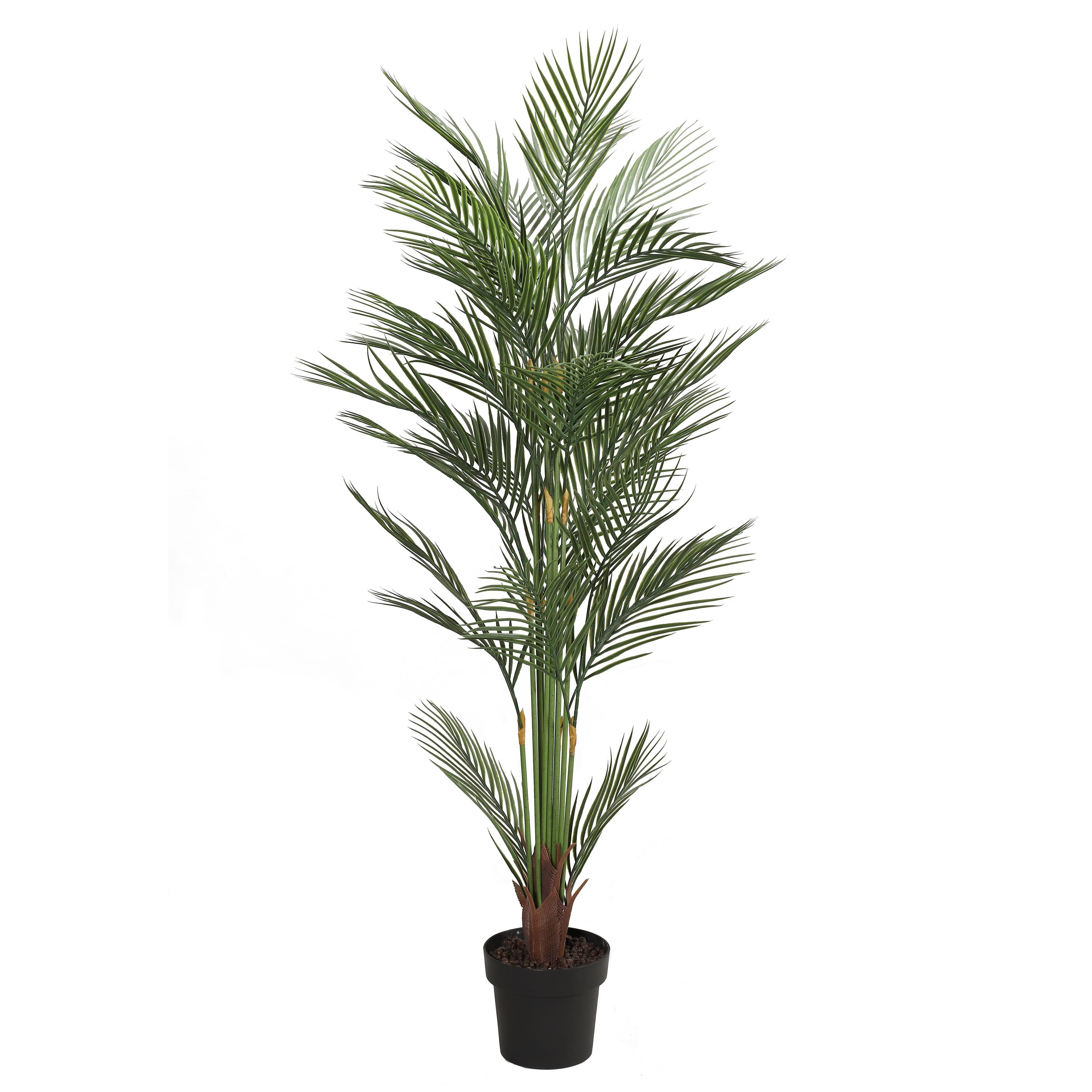 6 Pack: 5.5ft. Potted Areca Palm Tree