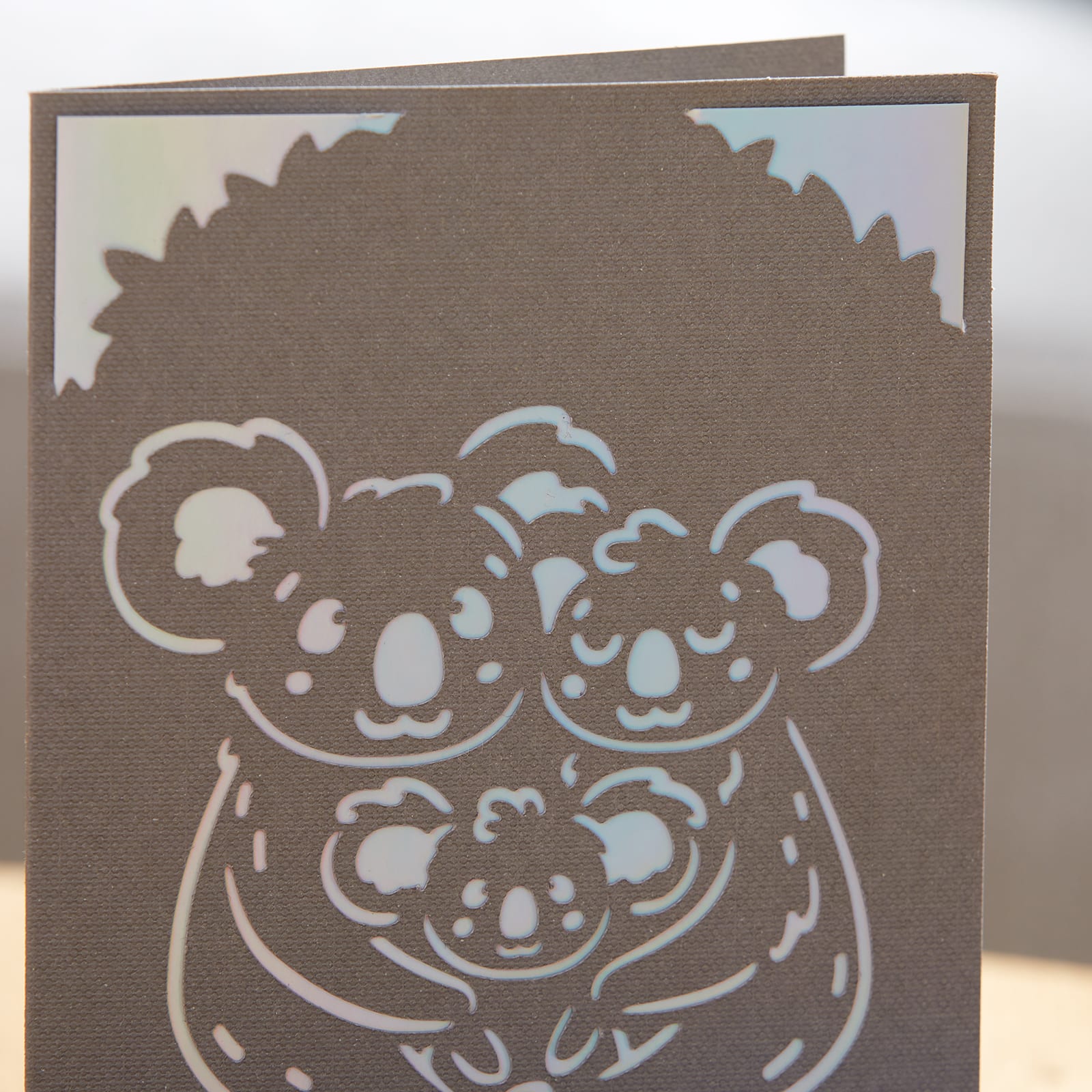 Cricut Joy™ Insert Cards & Silver Holographic