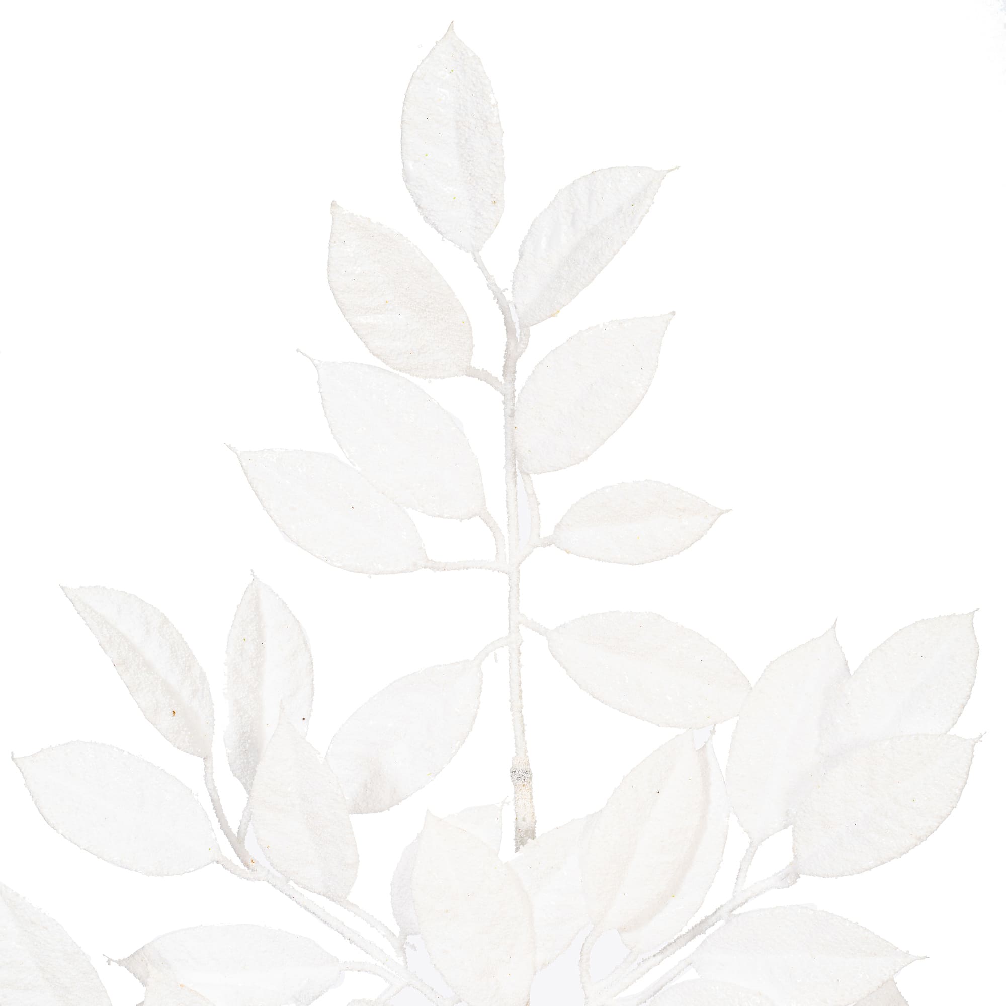 Vickerman 31" White Artificial Gardenia Snowy Sprays, 2ct.