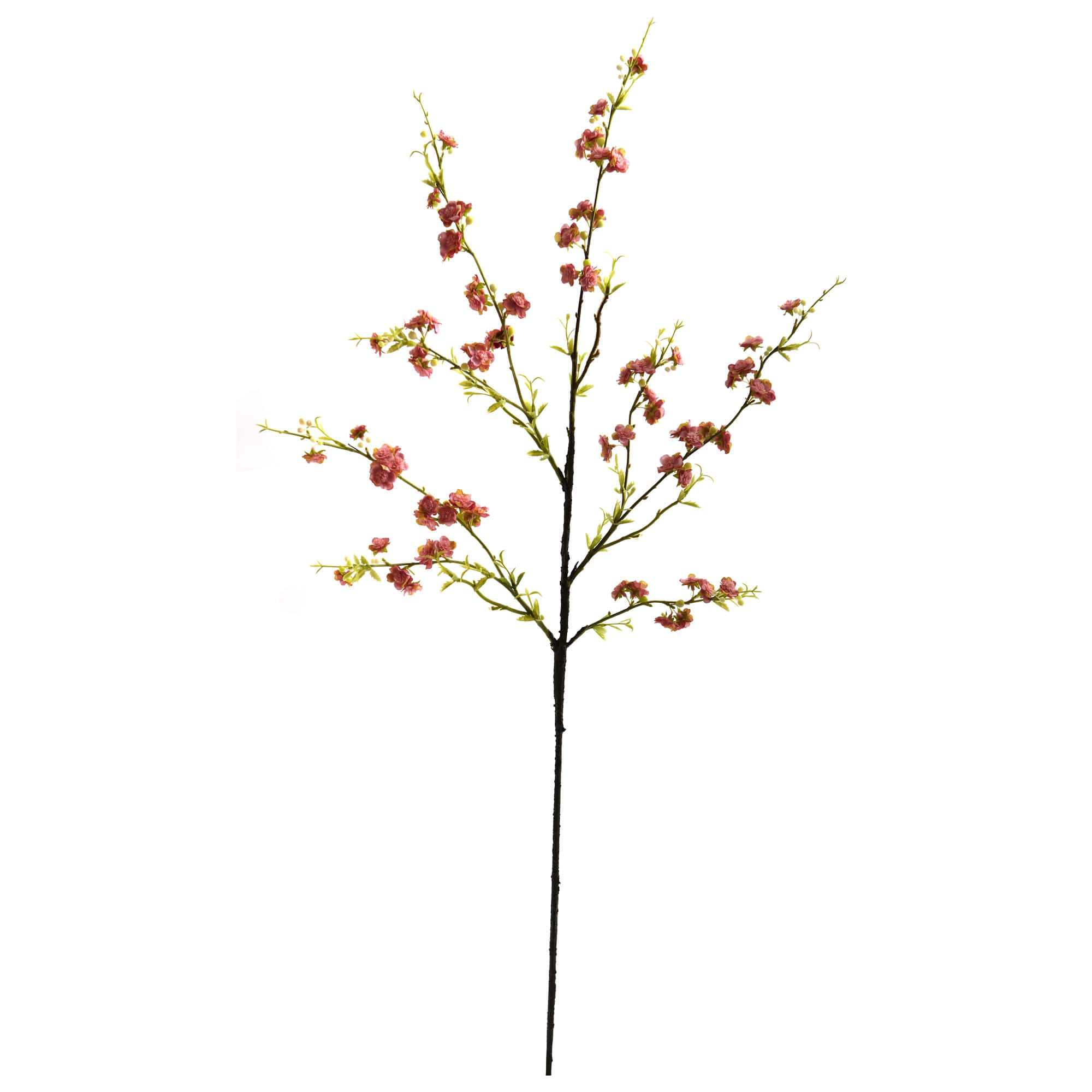 Cherry Blossom Spray