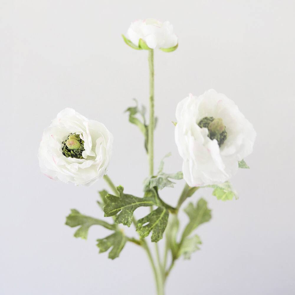 Prestige Botanicals 21.5" Artificial White Ranunculus Stem