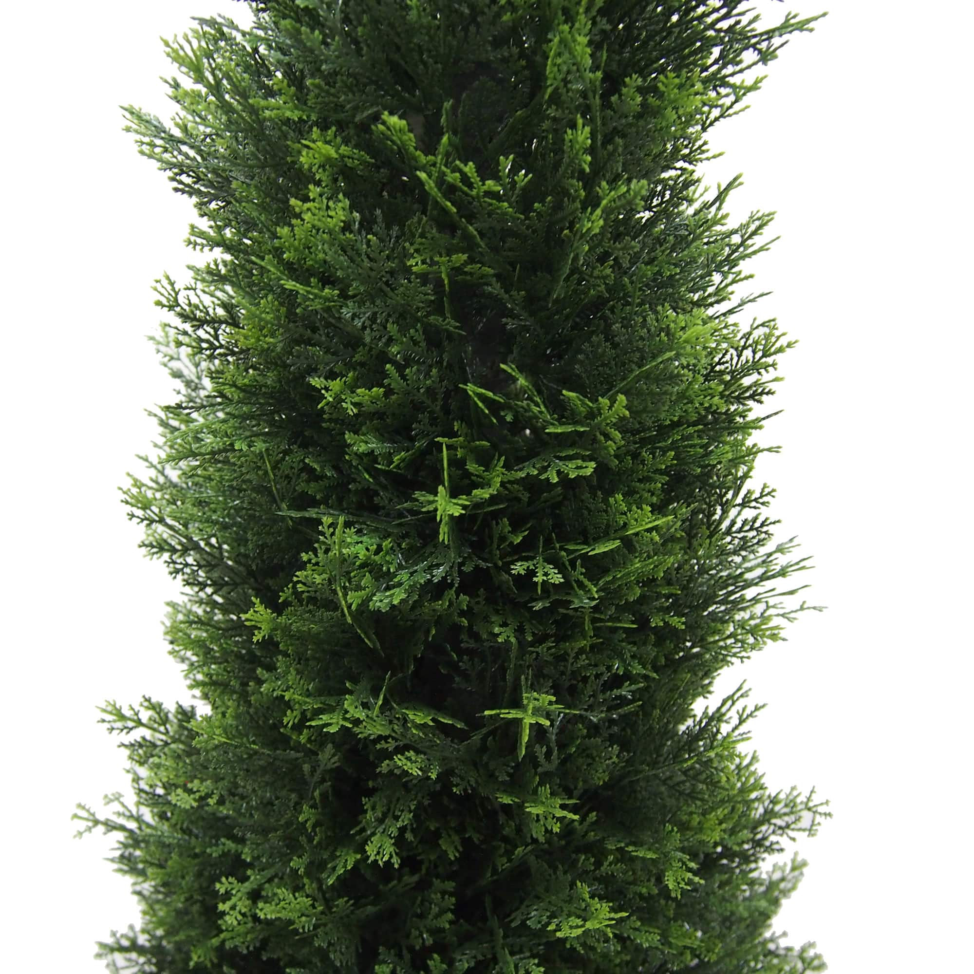 5ft. Potted Cedar Tree