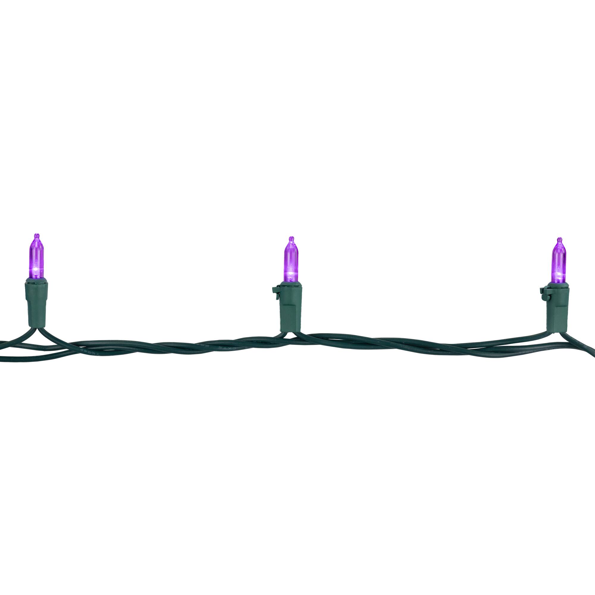 100ct. LED Mini Christmas Lights With Green Wire