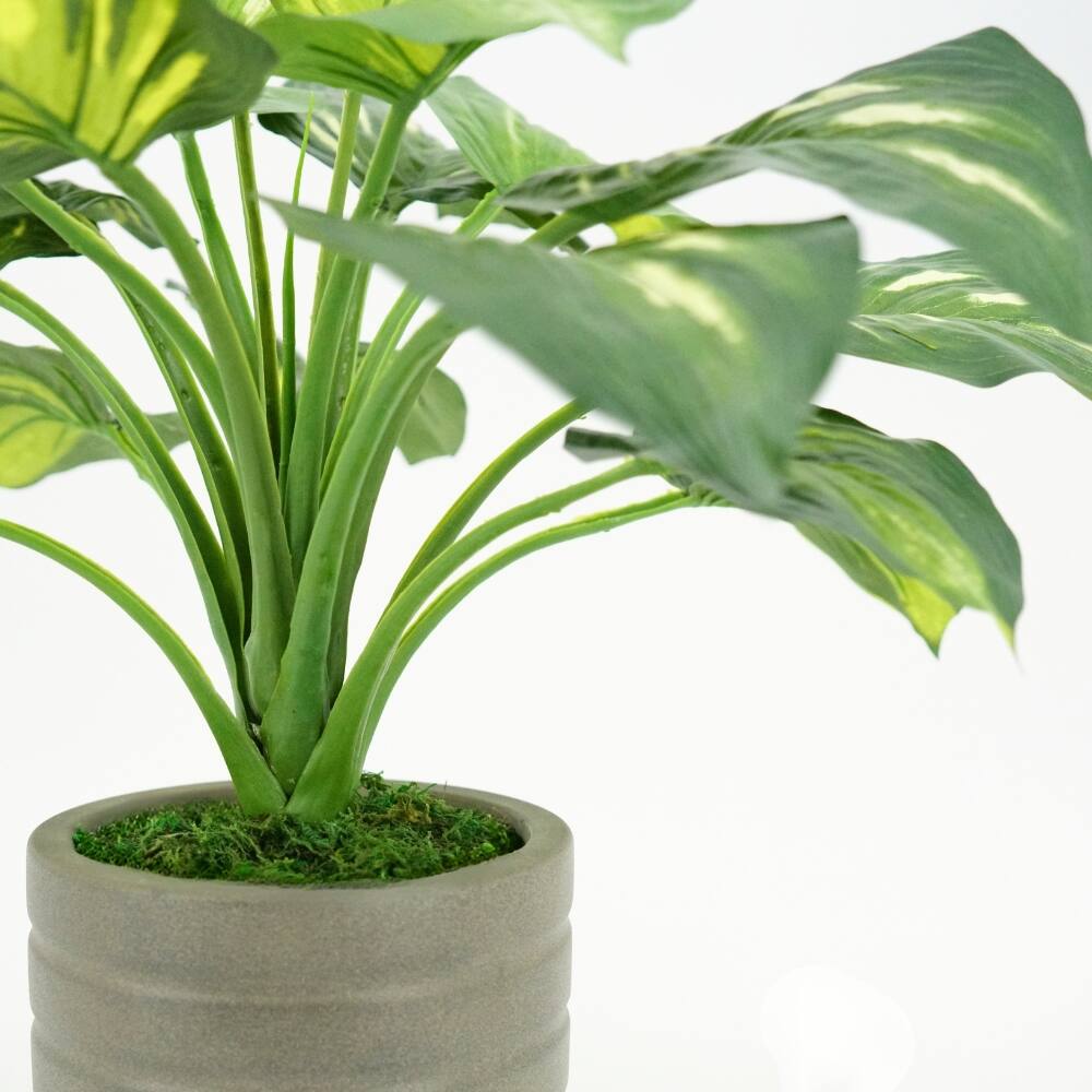 House of Silk Flowers 23" Small Faux Hosta in Classic Cement Gray Planter