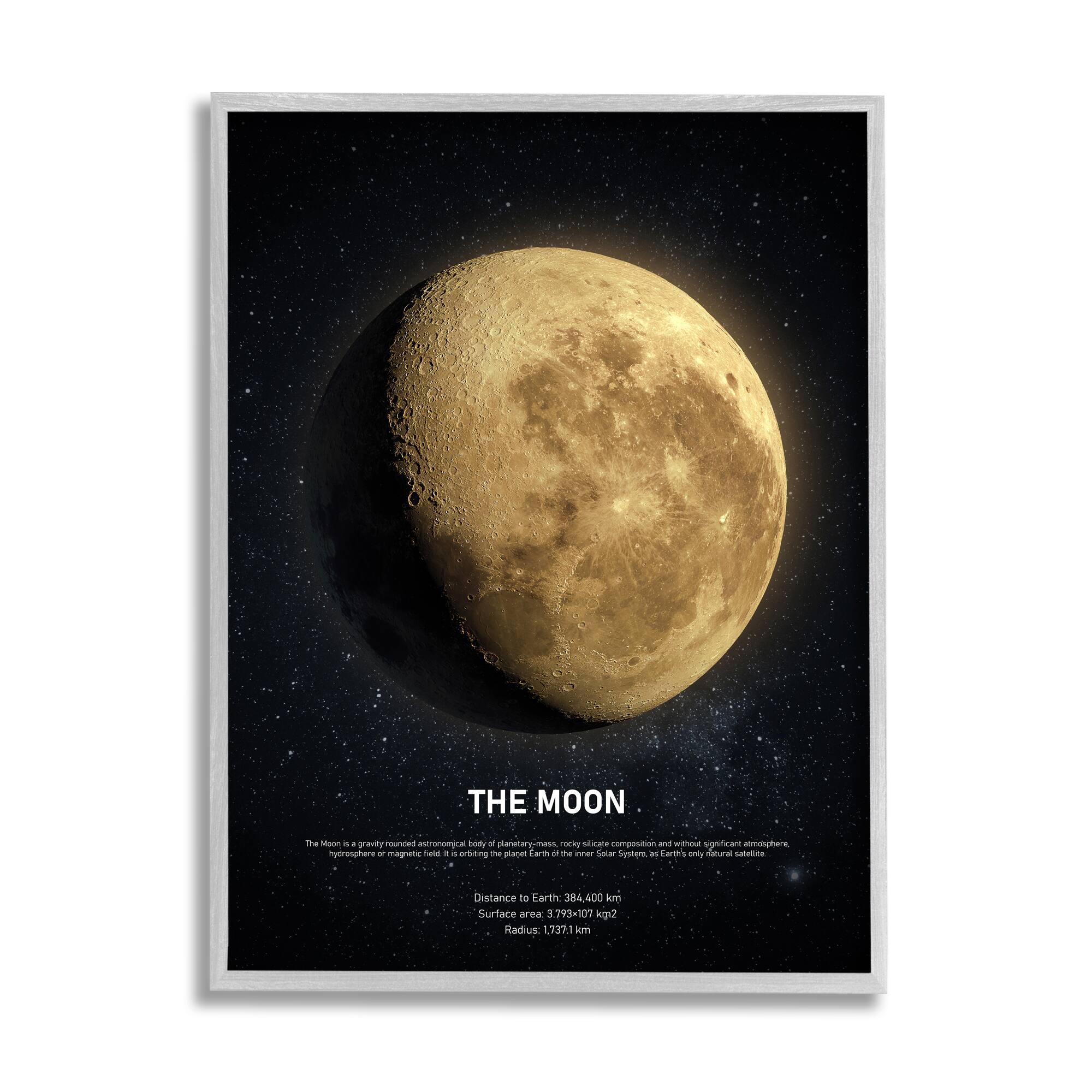 Stupell Industries Earth's Moon Celestial Facts Wall Art in Gray Frame