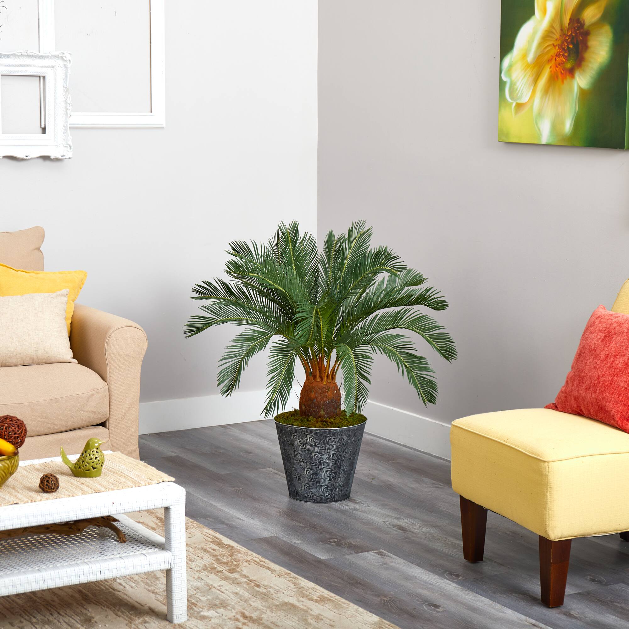 3.3ft. Cycas Tree in Black Embossed Planter