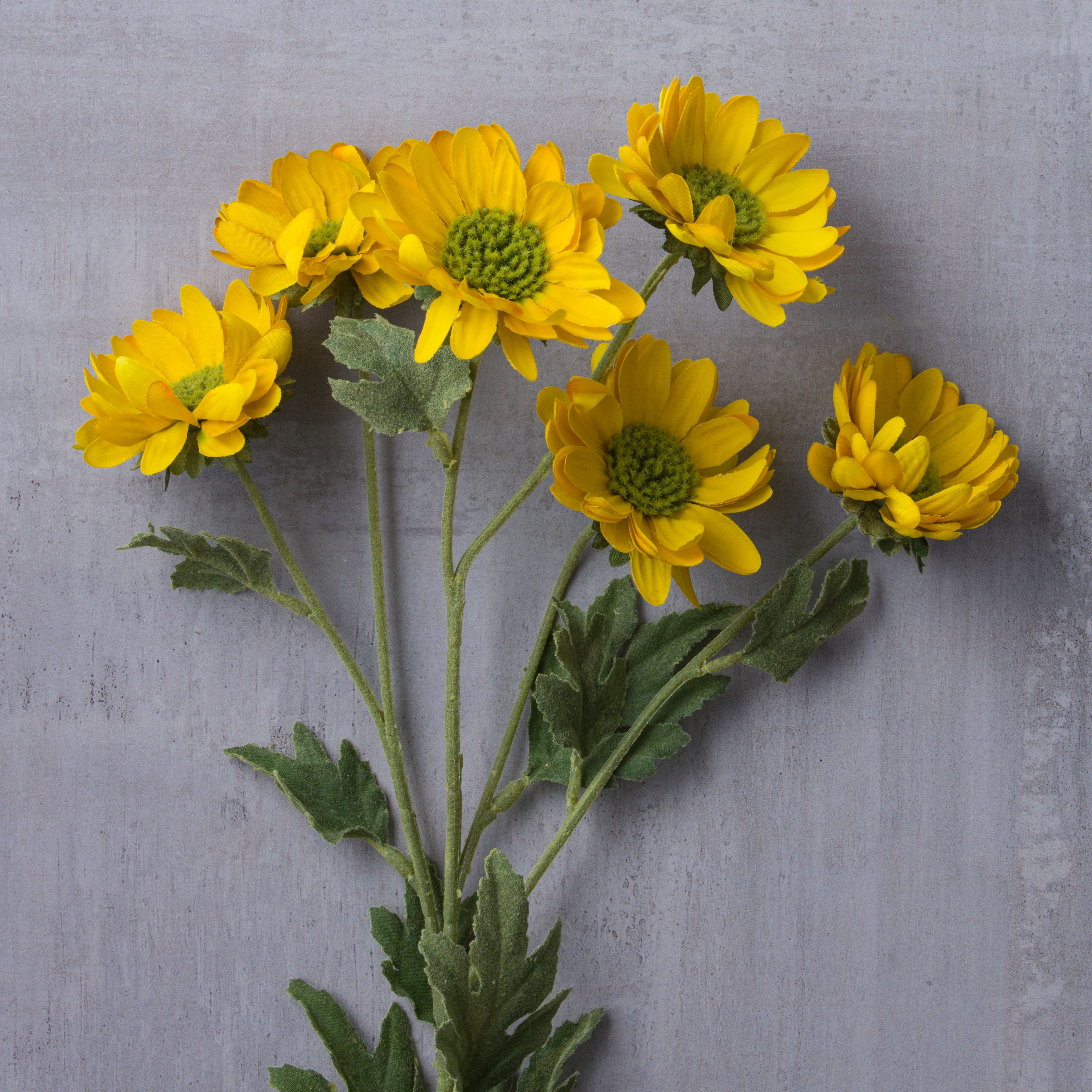 Gold Daisy Mum Spray by Ashland®