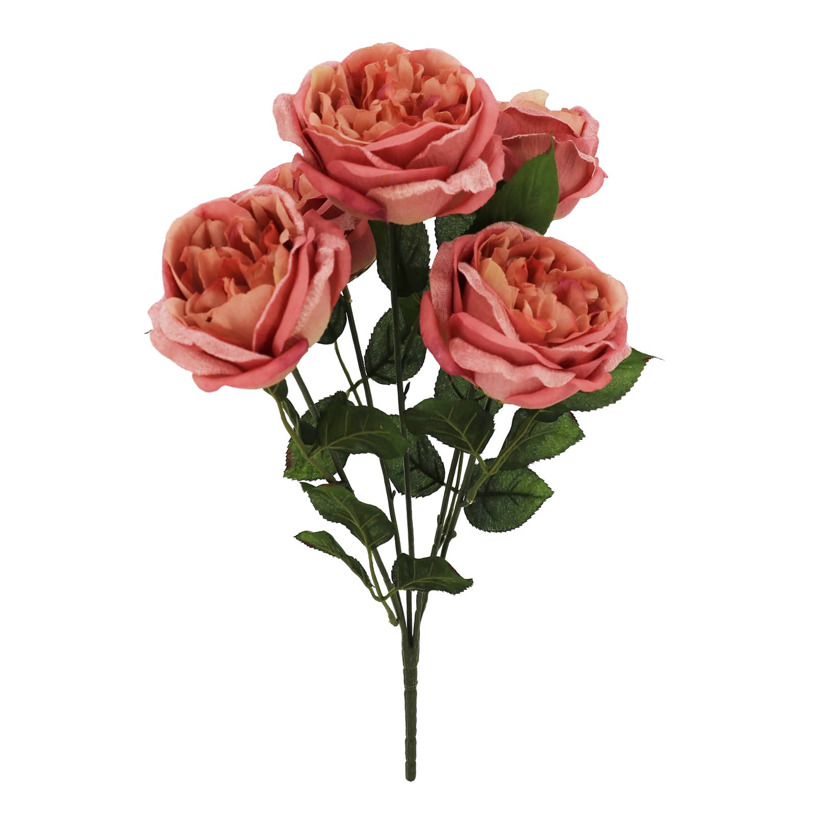 19" Cabbage Rose Bush by Ashland