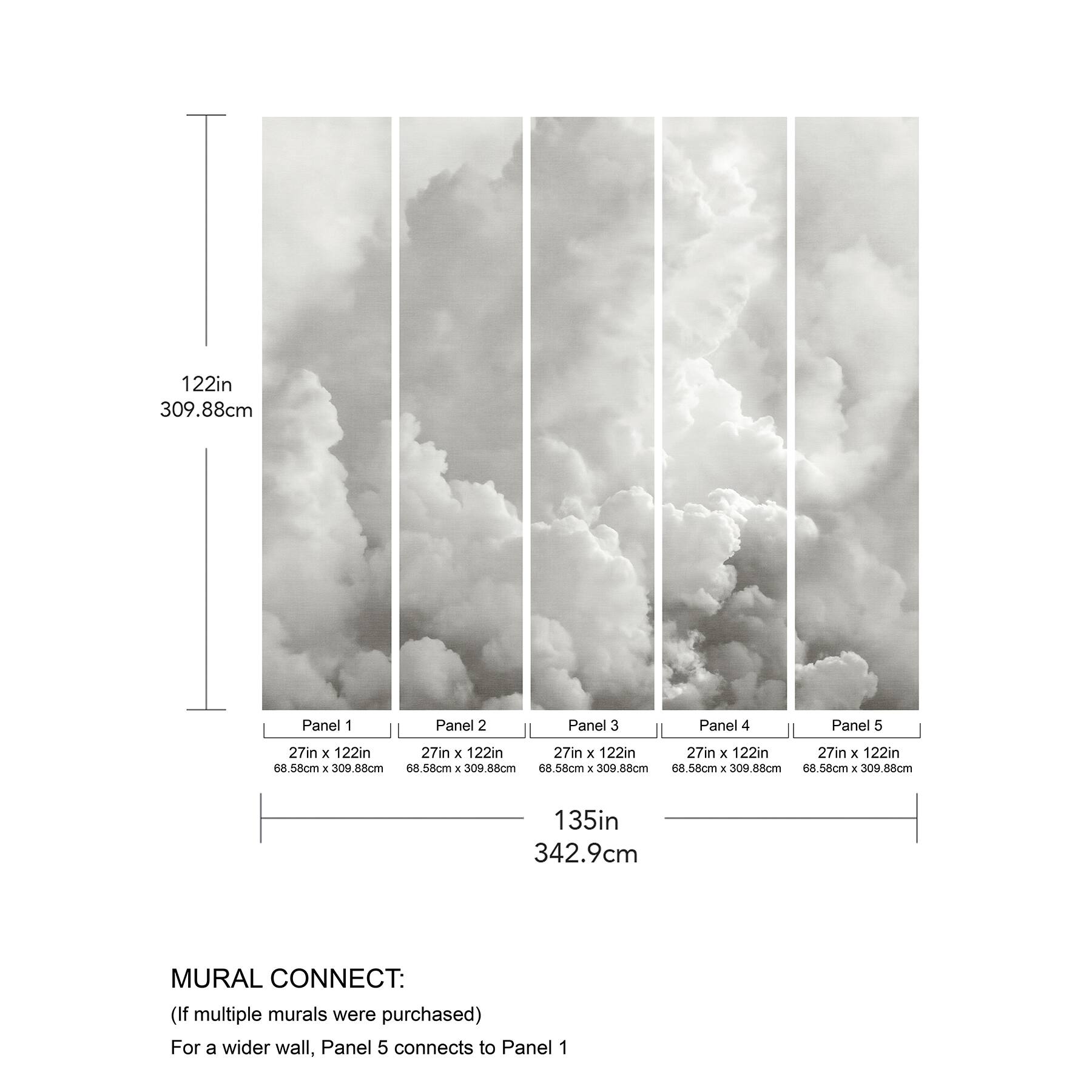 Katie Hunt Dove Gray In the Clouds Wall Mural