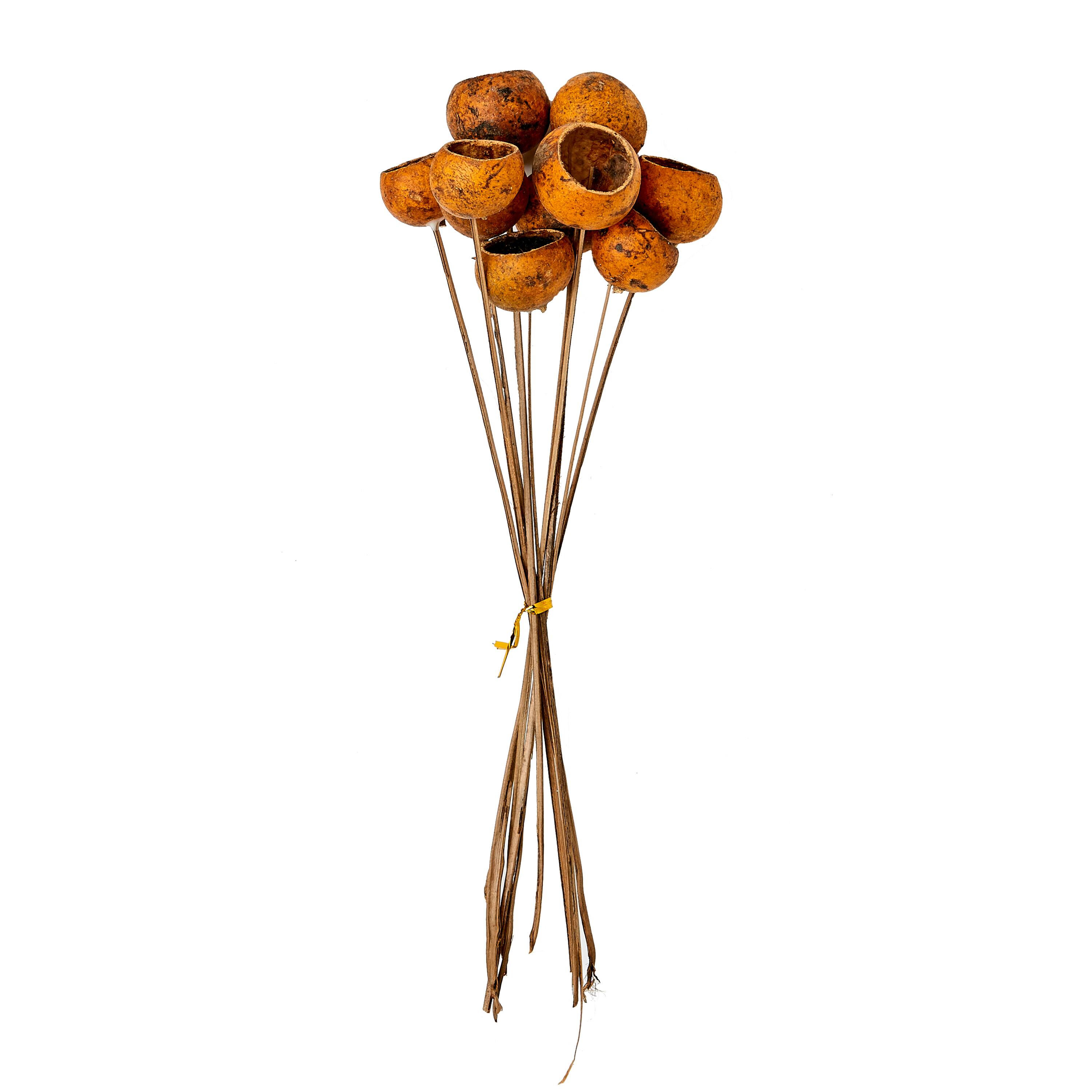 17" Rustic Gold Natural Botanical Solit Cup on Stems, 4ct.