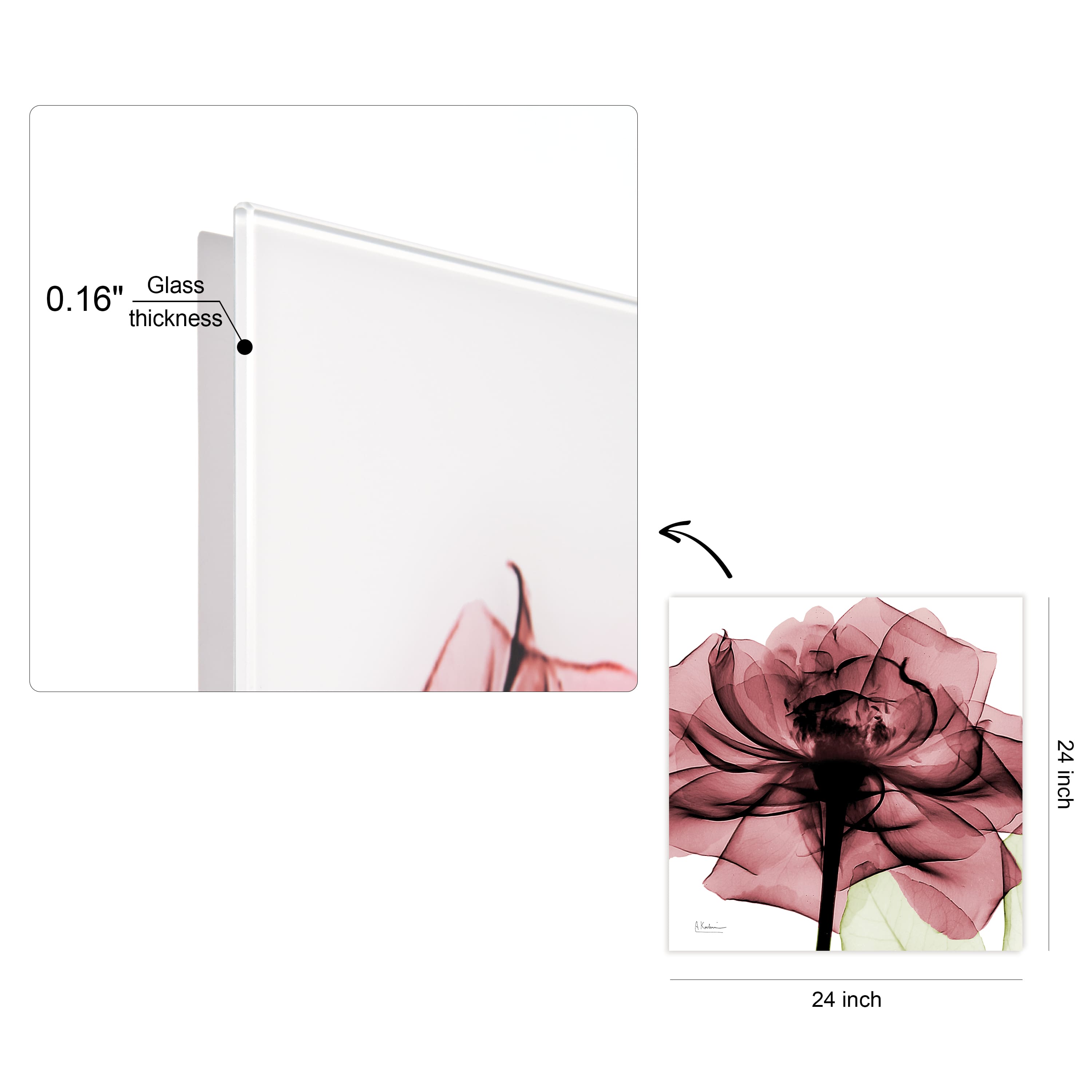 Empire Art Direct 24" x 24" Chianti Rose II Frameless Free Floating Printed Tempered Glass Wall Art