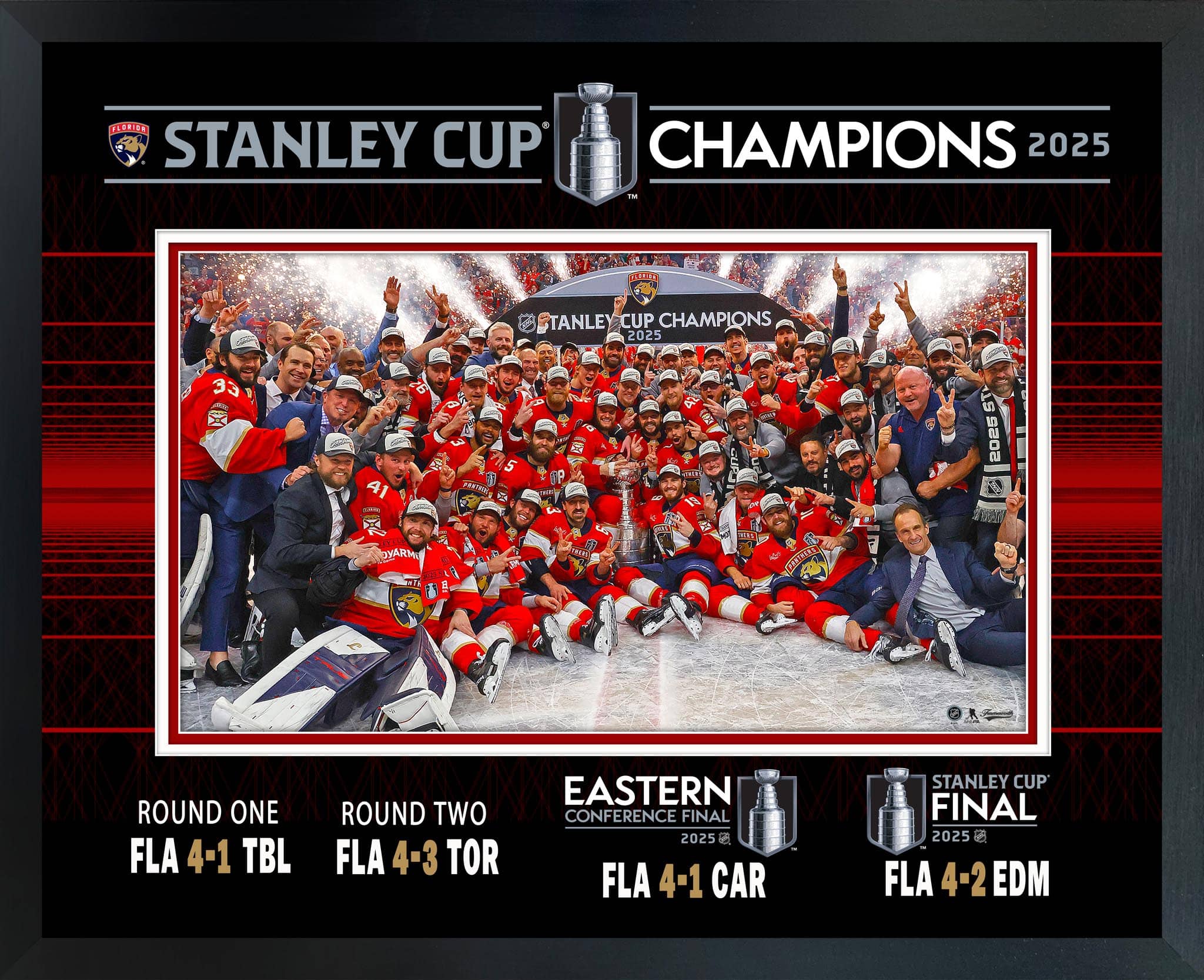 Florida Panthers 2025 Stanley Cup Champions 16" x 20" Championship Frame 20" x 16"