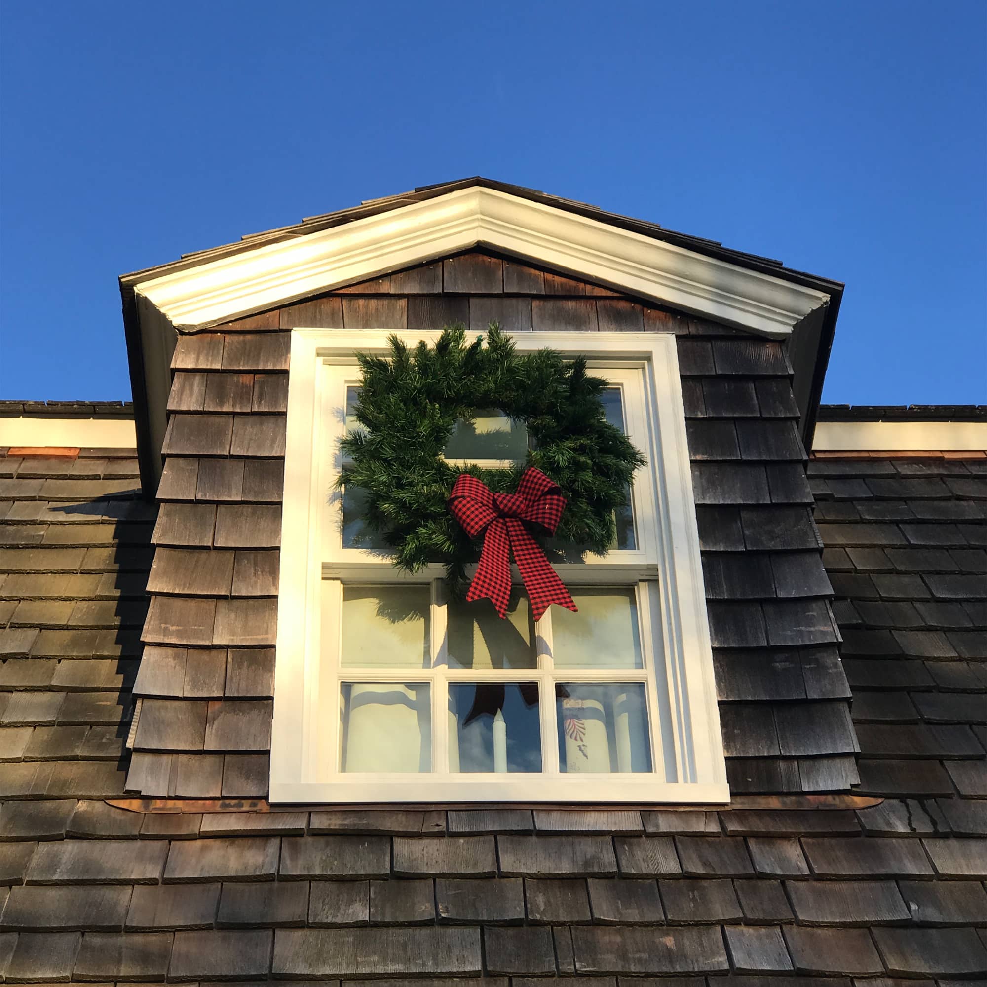 24" Lush Mixed Pine Artificial Christmas Wreath