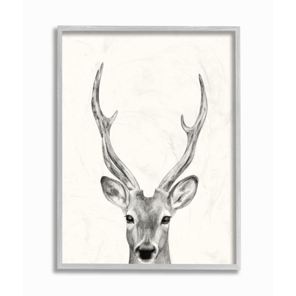Stupell Industries Deer Portrait Grey Drawing Design Framed Wall Art