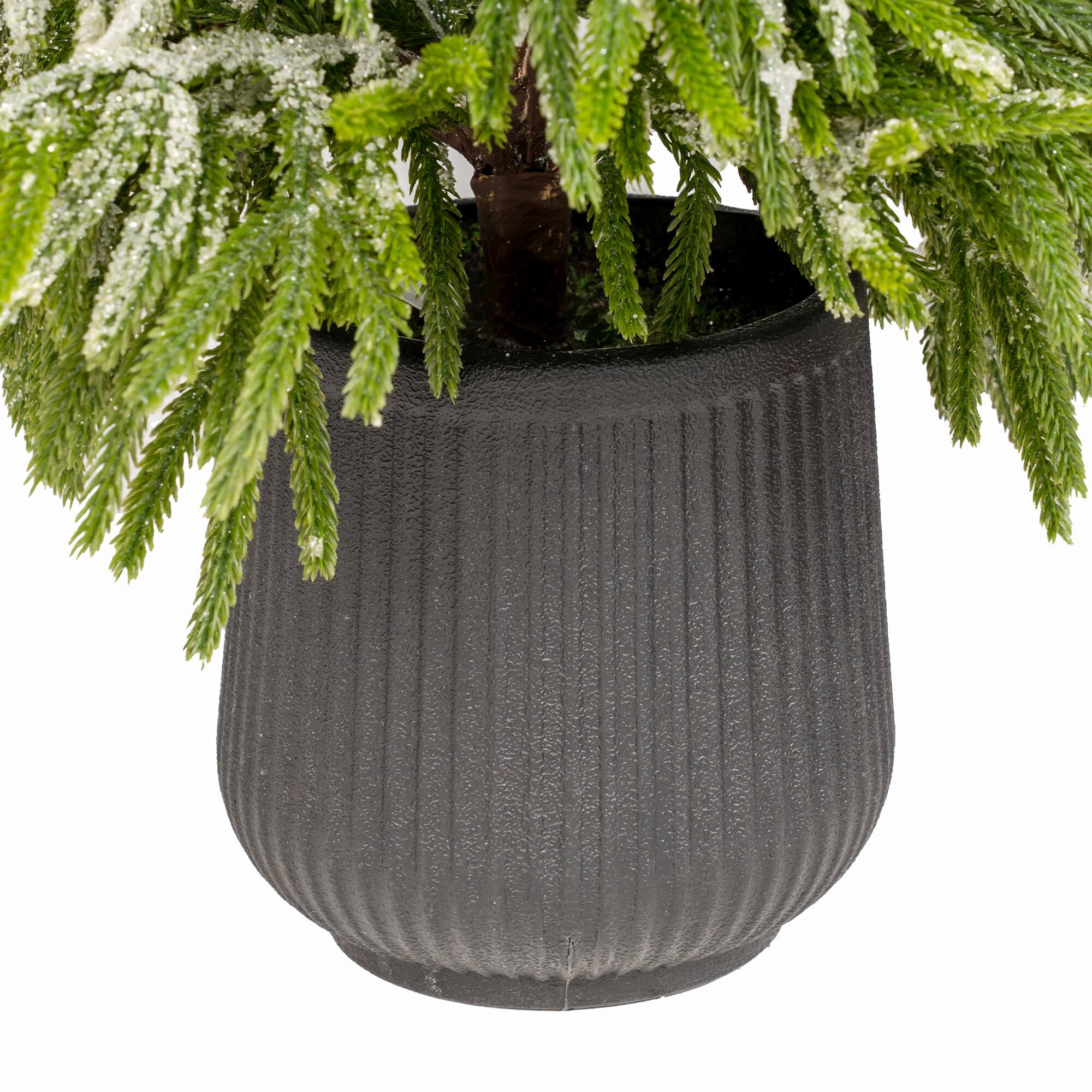 Glitzhome® 4ft. Unlit Frosted Norfolk Pine Christmas Porch Tree with Pinecones