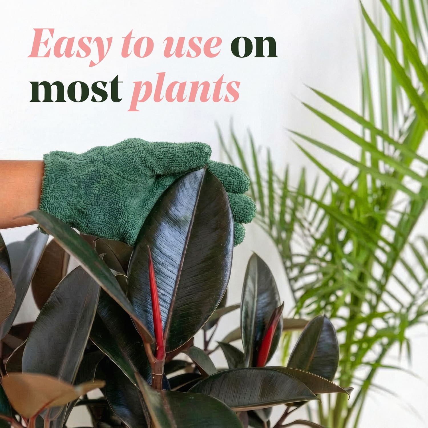 We The Wild™ 8.5oz. Protect Spray Organic Botanical Leaf Shine & Care for Houseplants