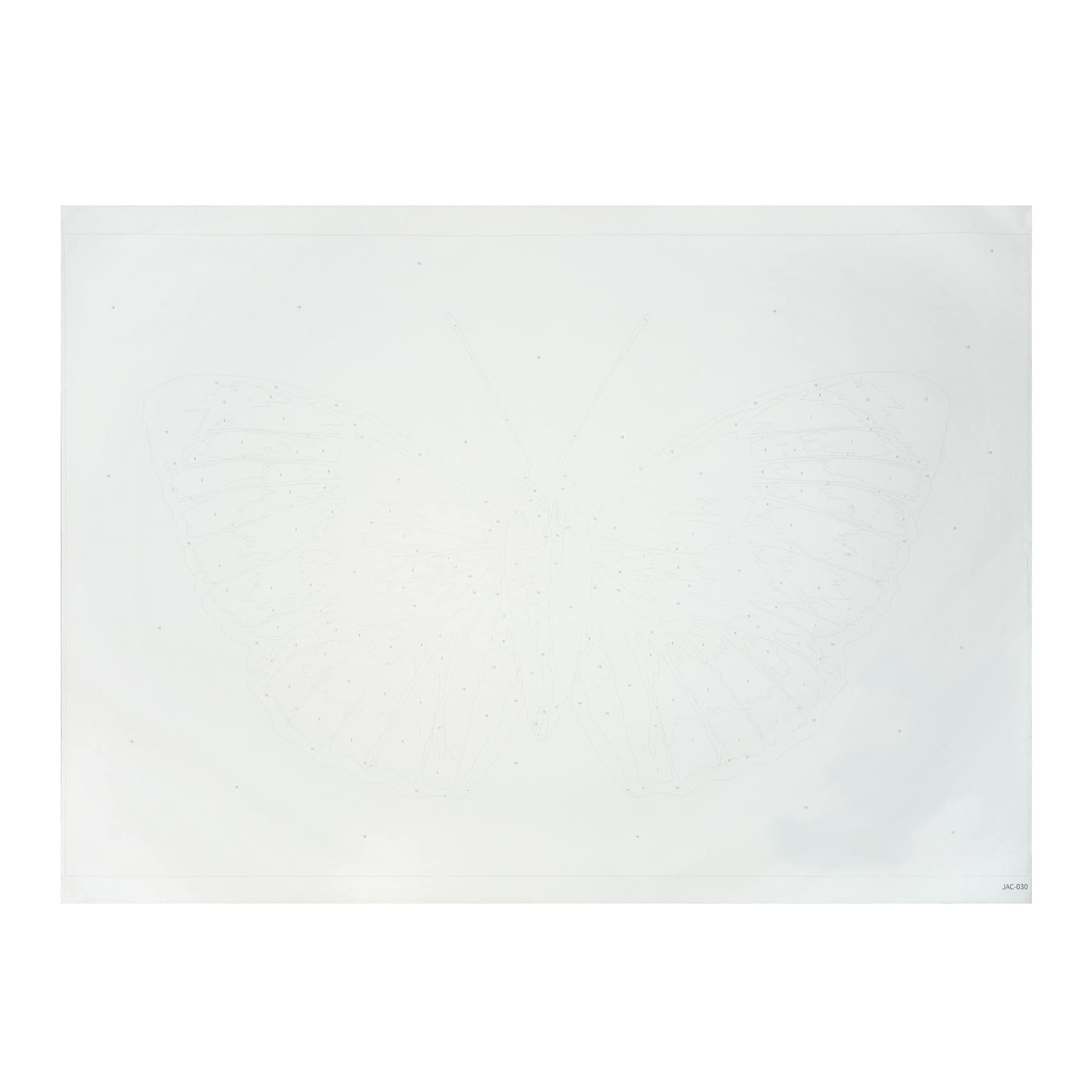 Jonathan Adler x Michaels 30" x 20" Butterfly Paint-By-Number Kit